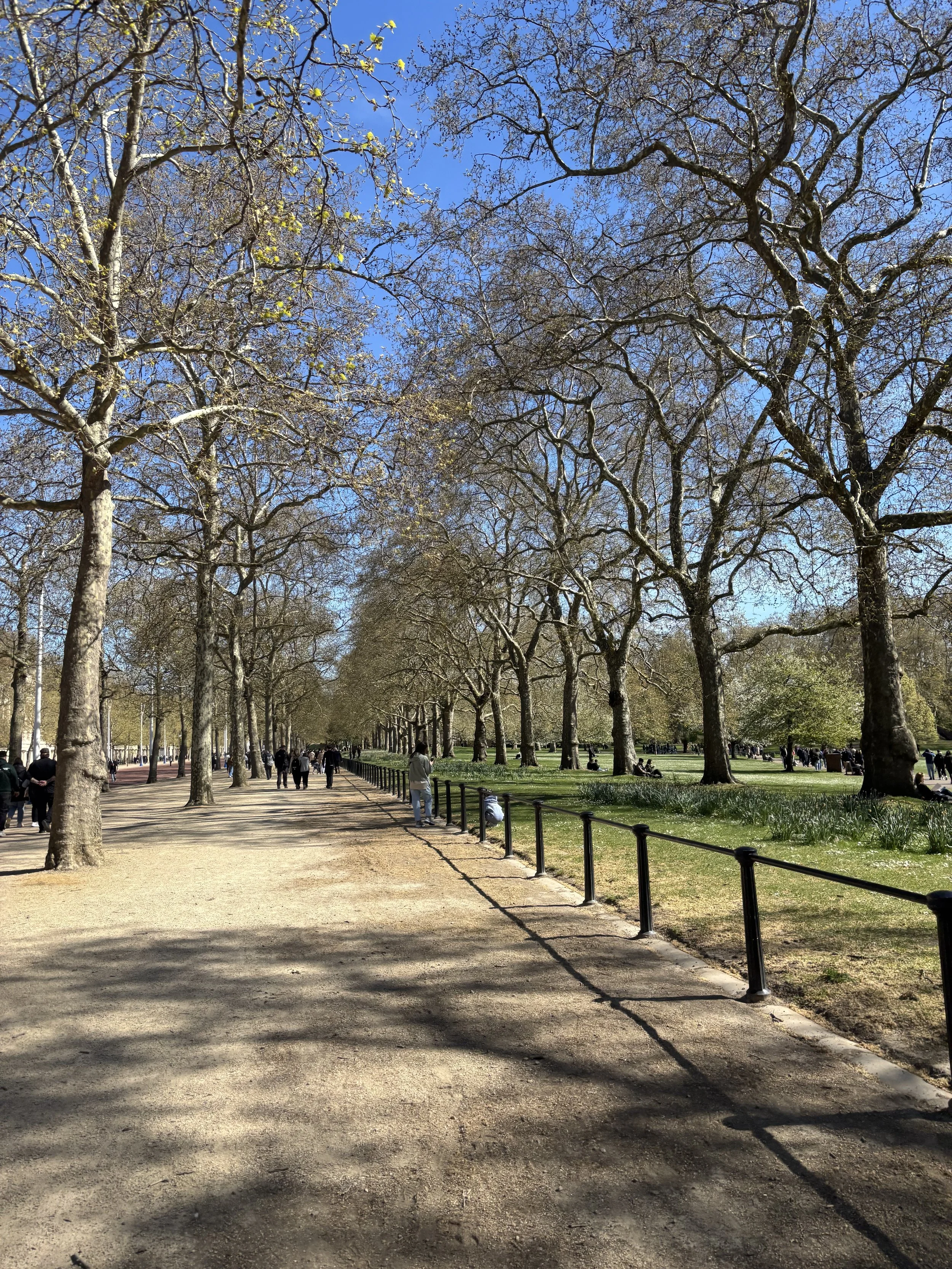 IMG_5211.jpeg