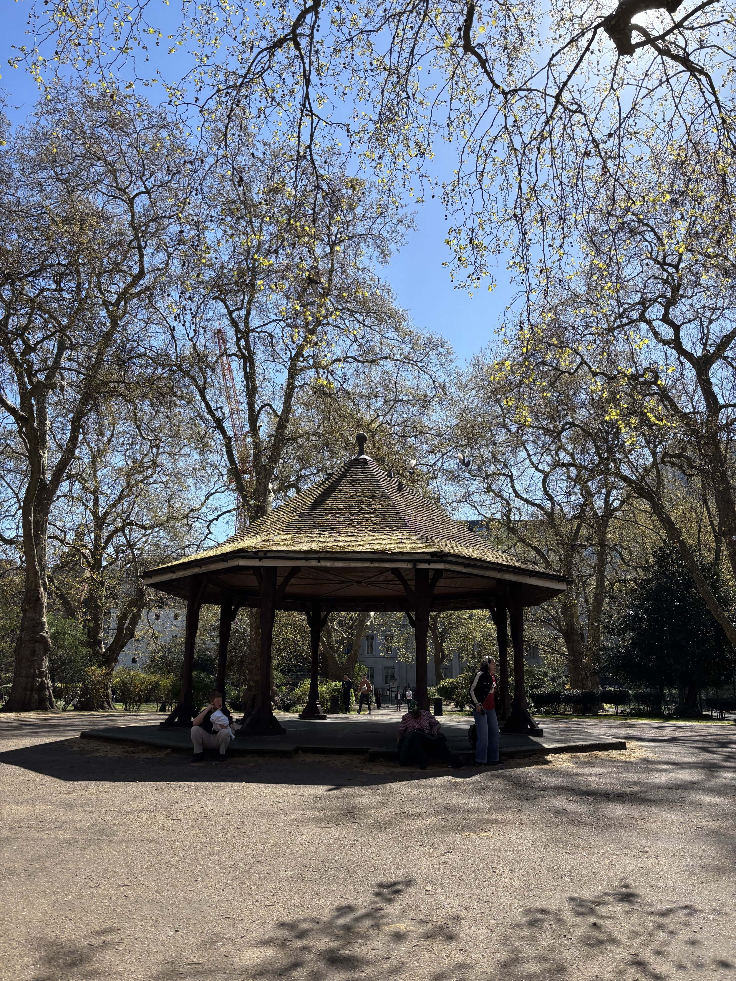 IMG_5239.jpeg