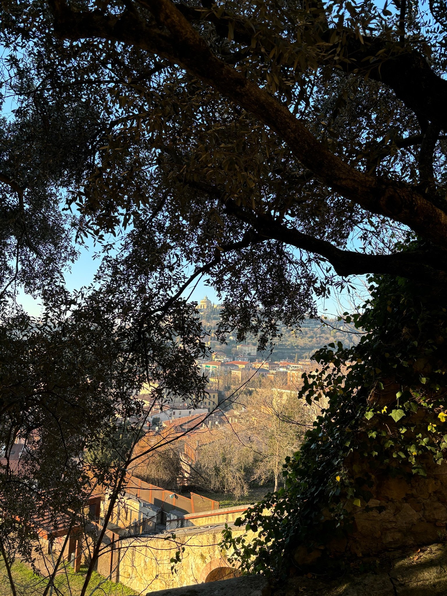 IMG_3269.jpeg
