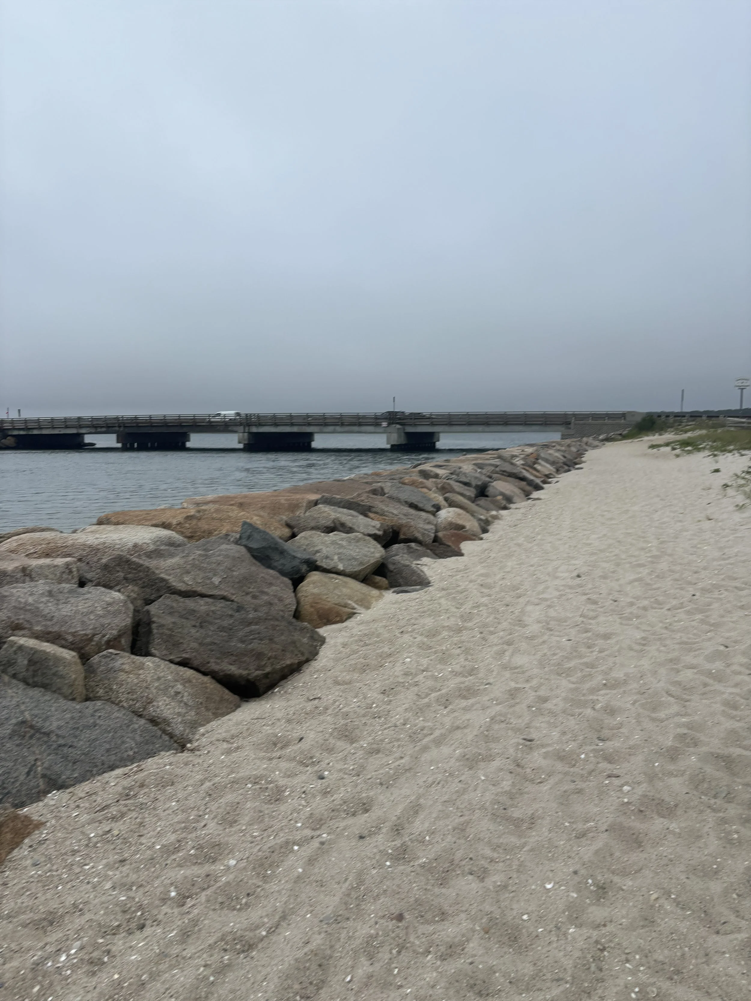 IMG_8865.jpeg