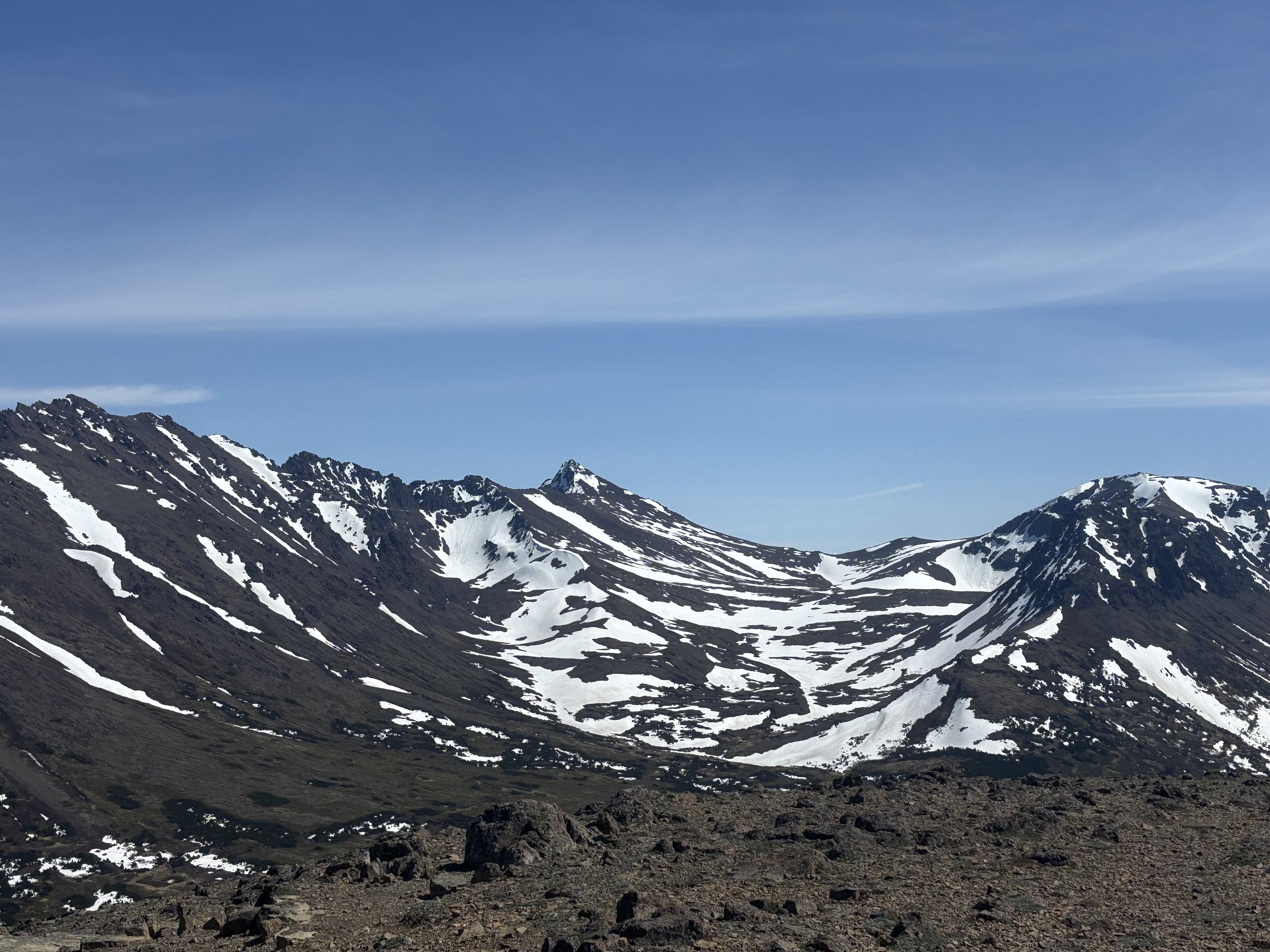 IMG_6978.jpeg