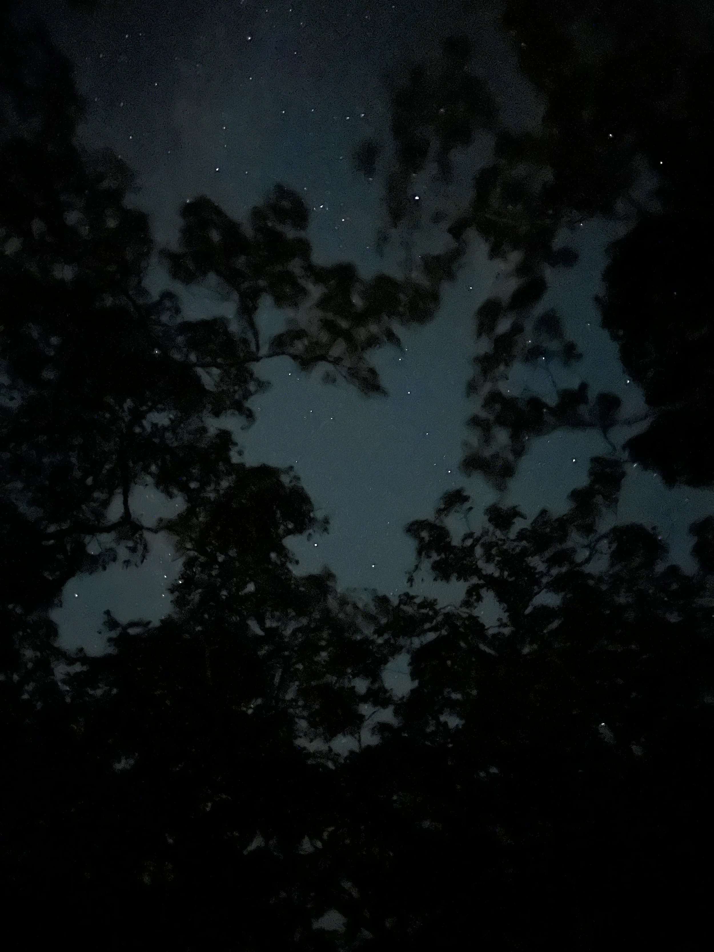 IMG_8225.jpeg