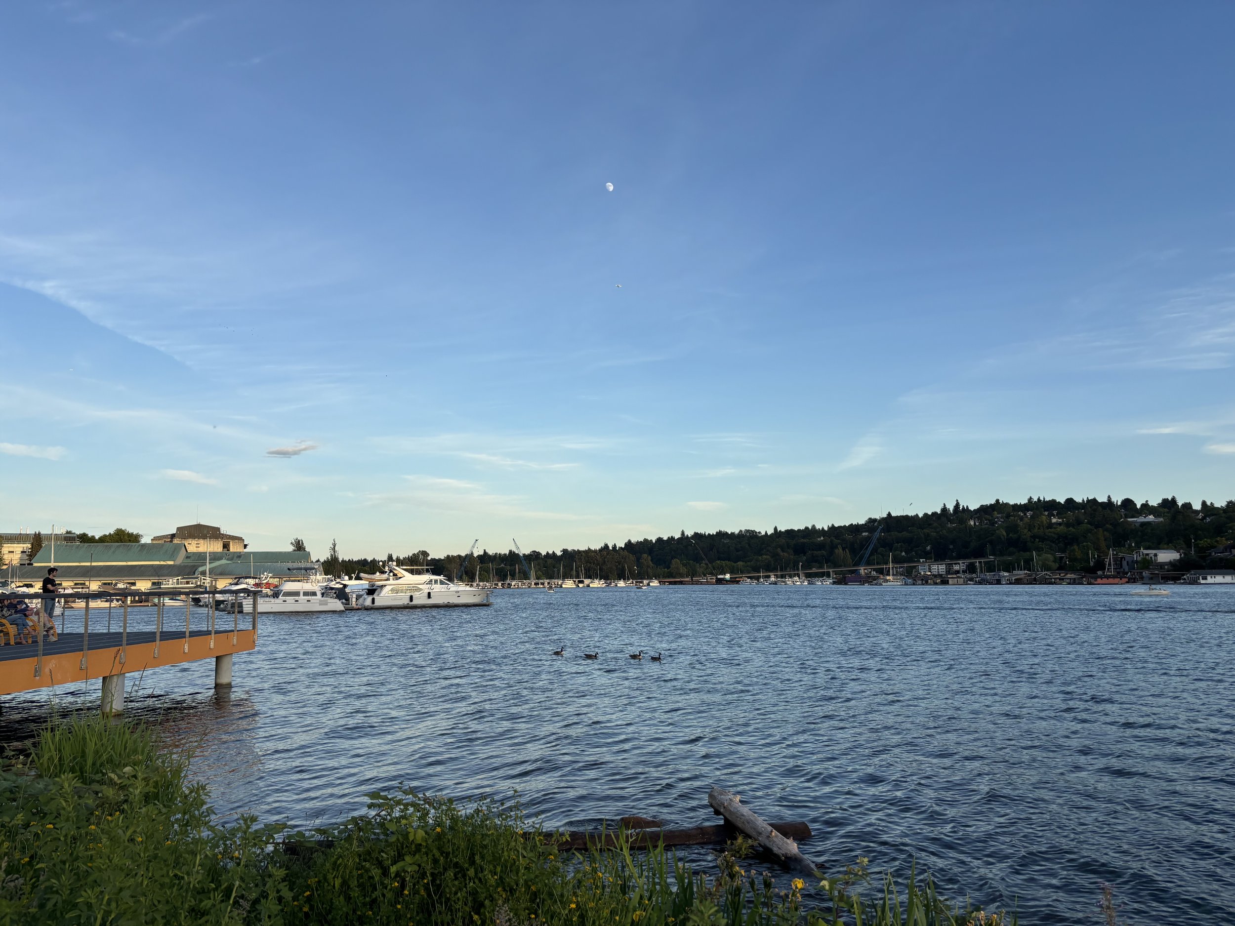 IMG_6701.jpeg