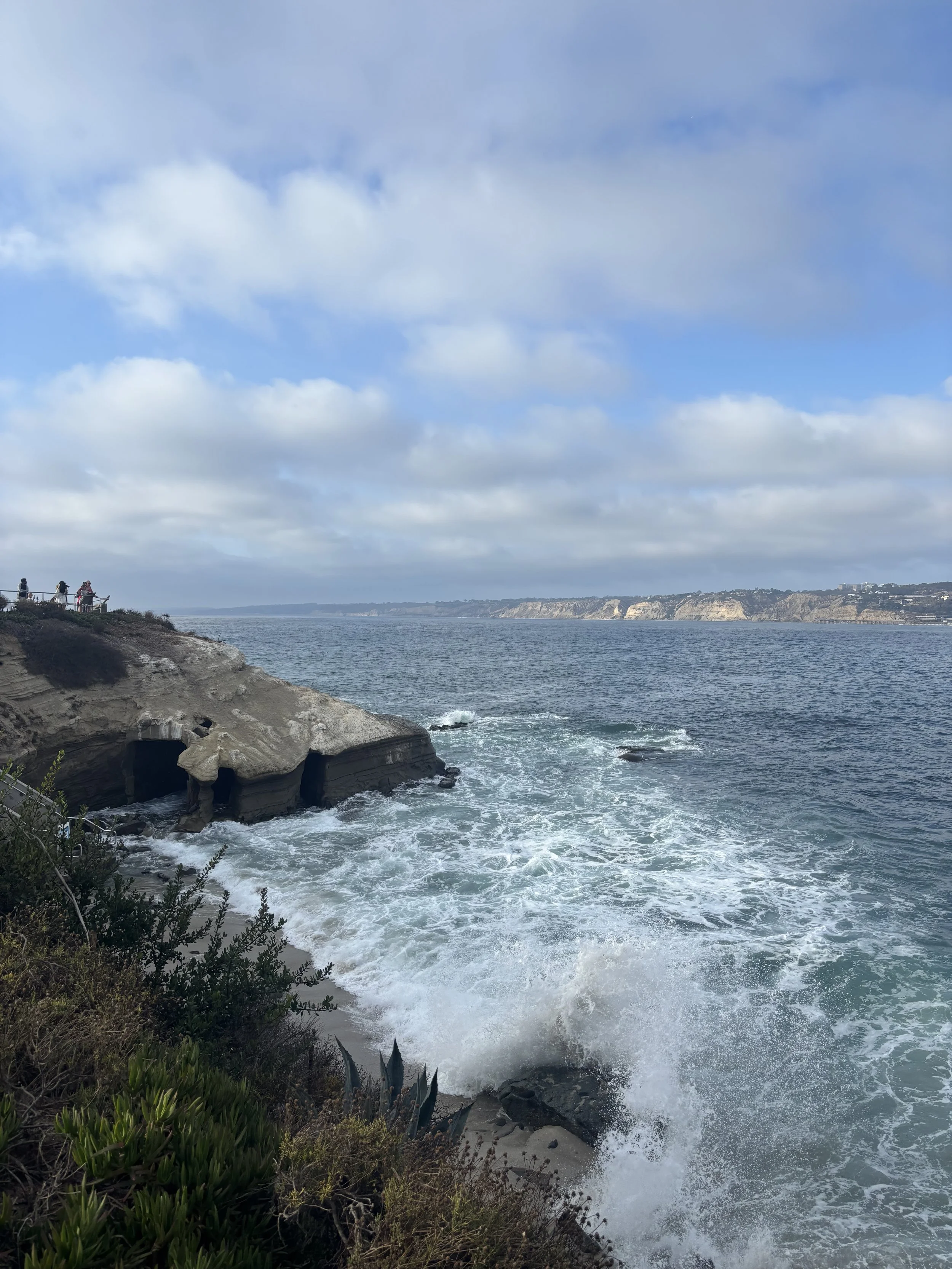 IMG_8524.jpeg