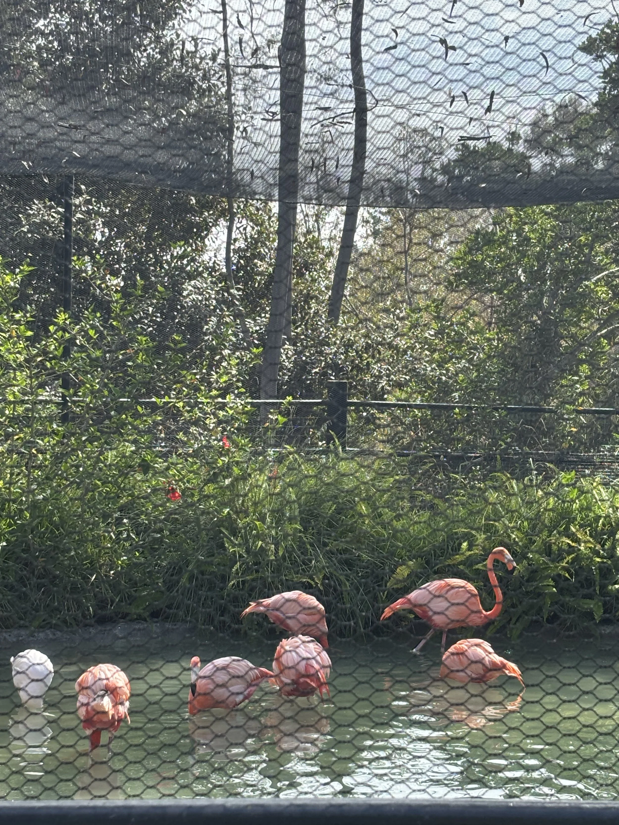 IMG_8475.jpeg