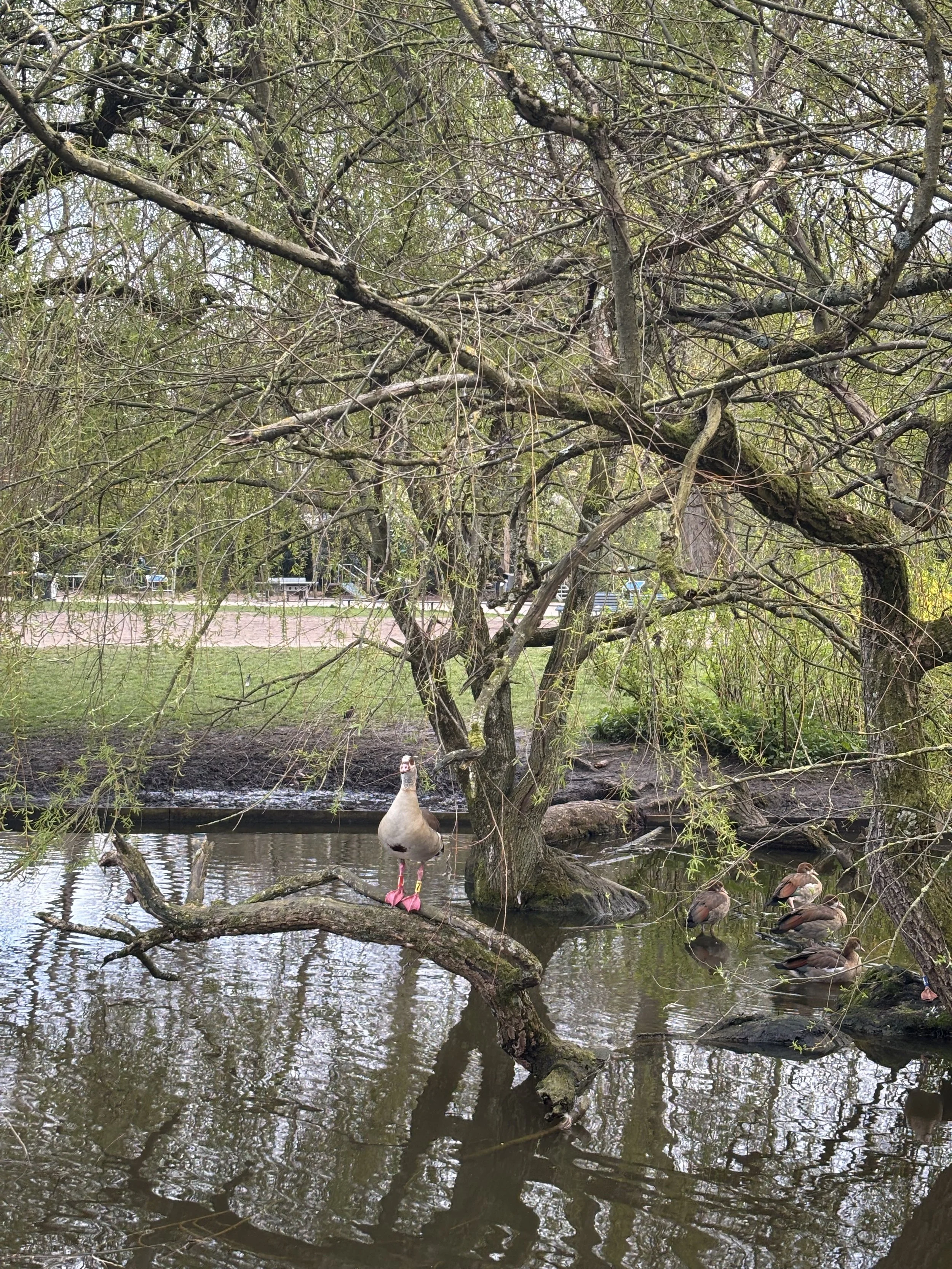 IMG_4880.jpeg