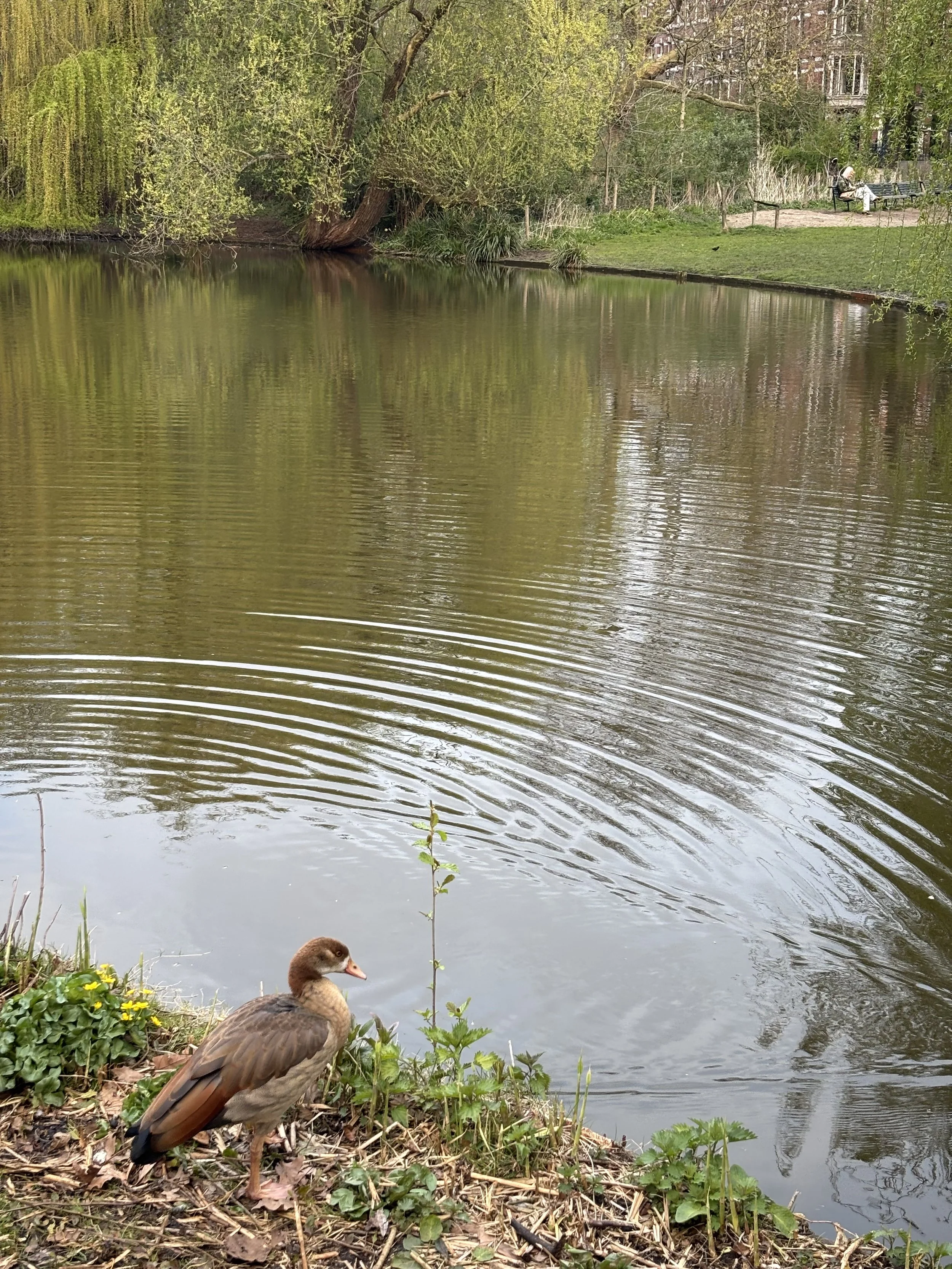 IMG_4881.jpeg