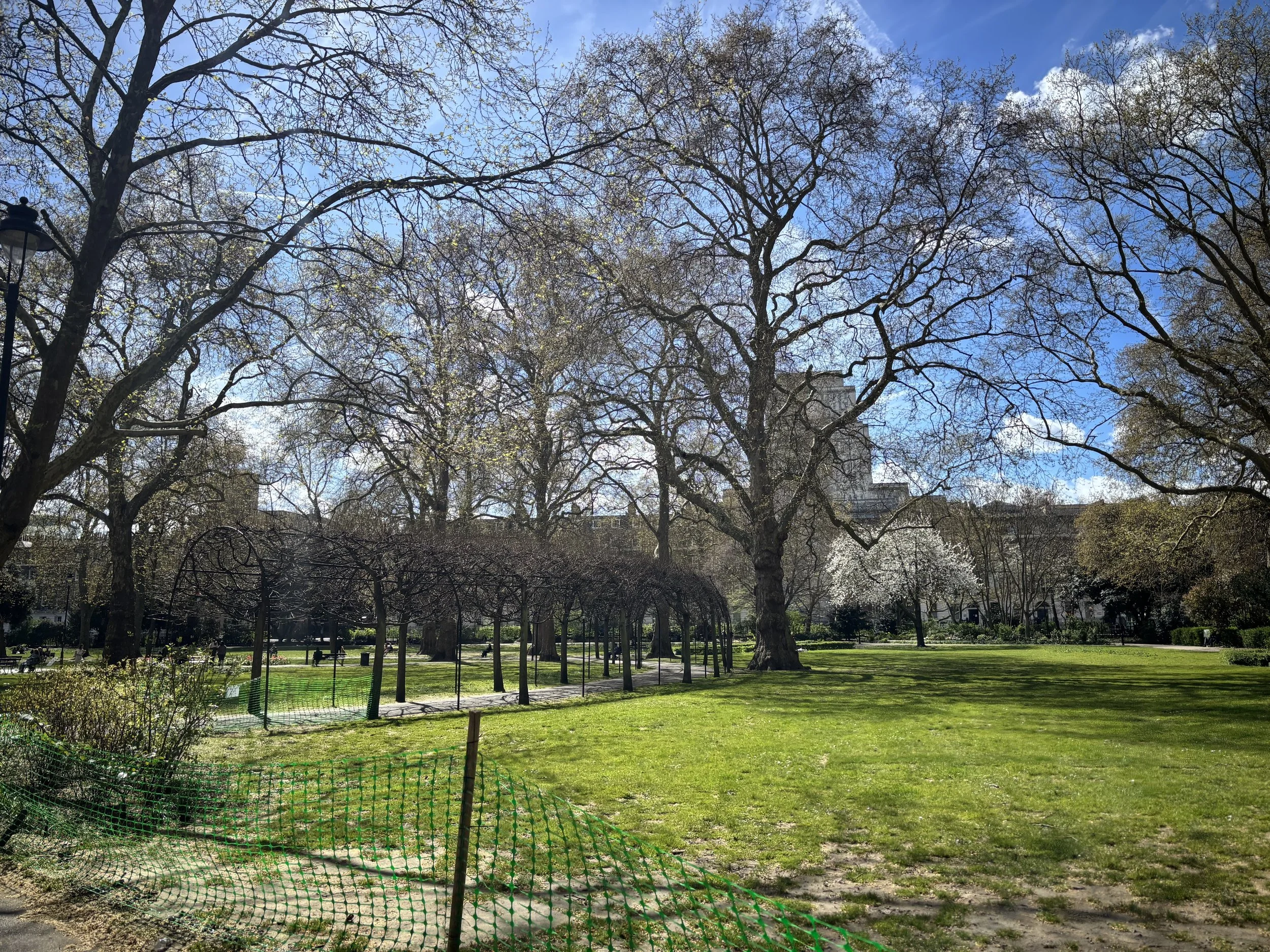 IMG_5123.jpeg