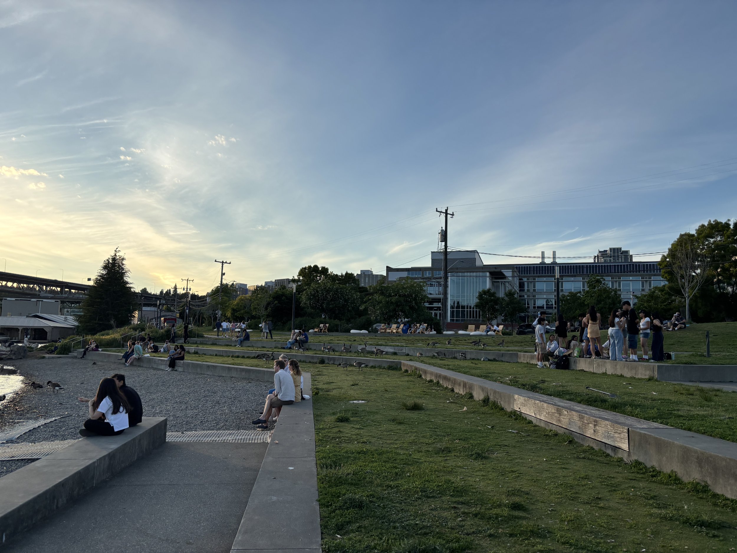 IMG_6702.jpeg