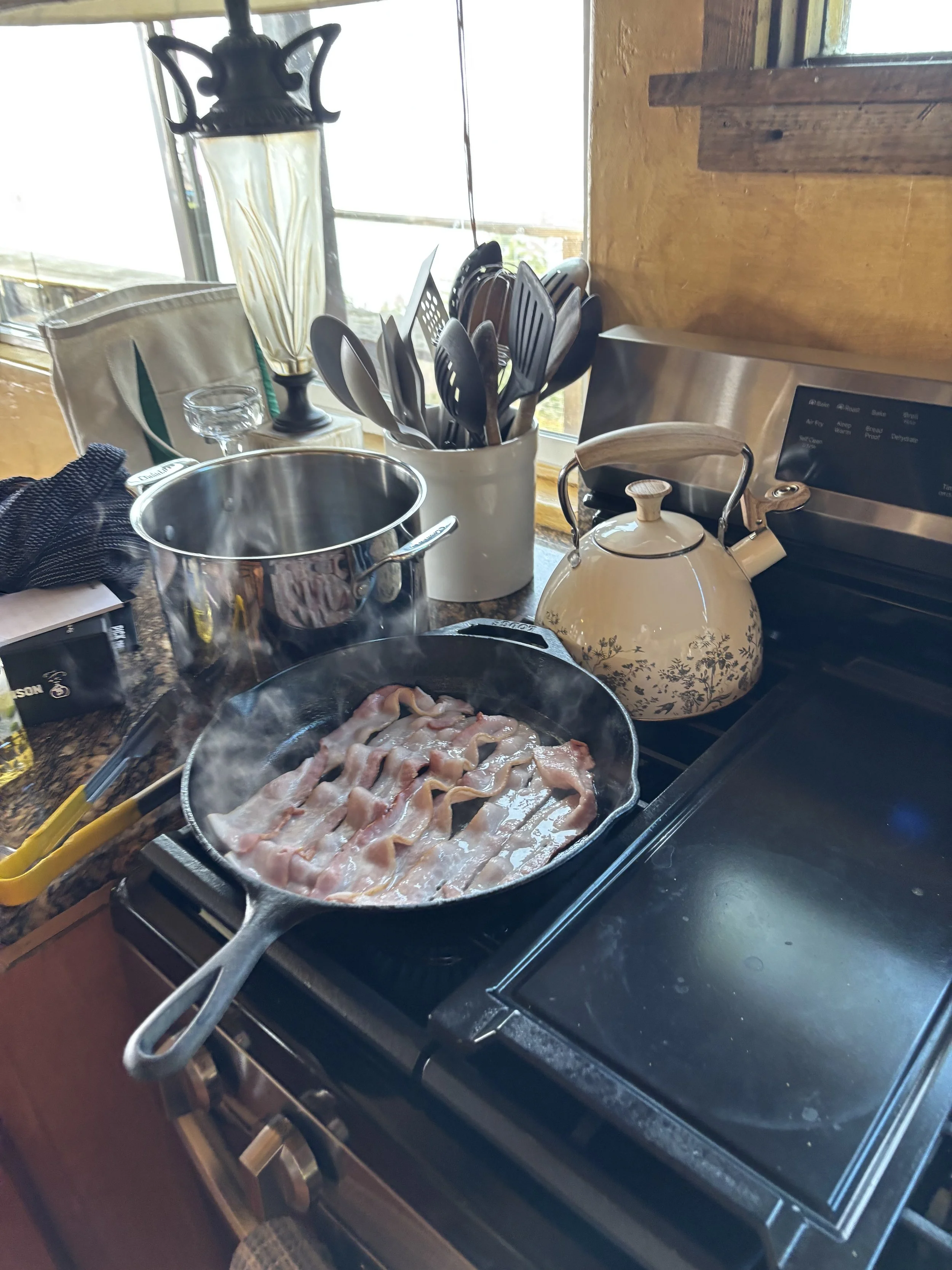 IMG_9541.jpeg