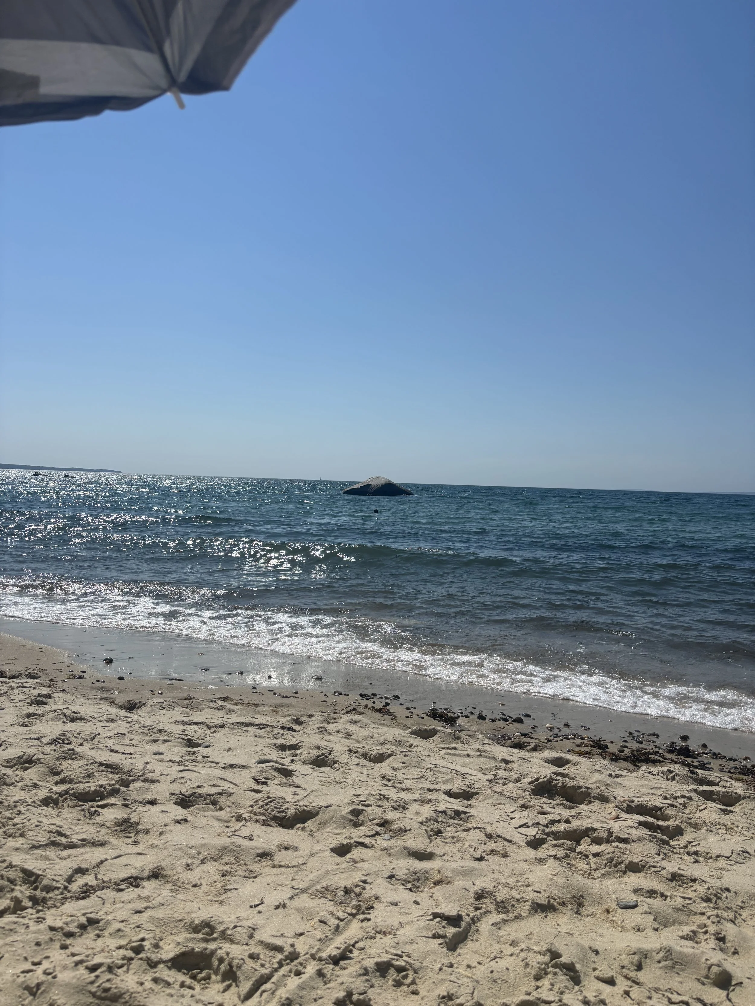 IMG_8943.jpeg