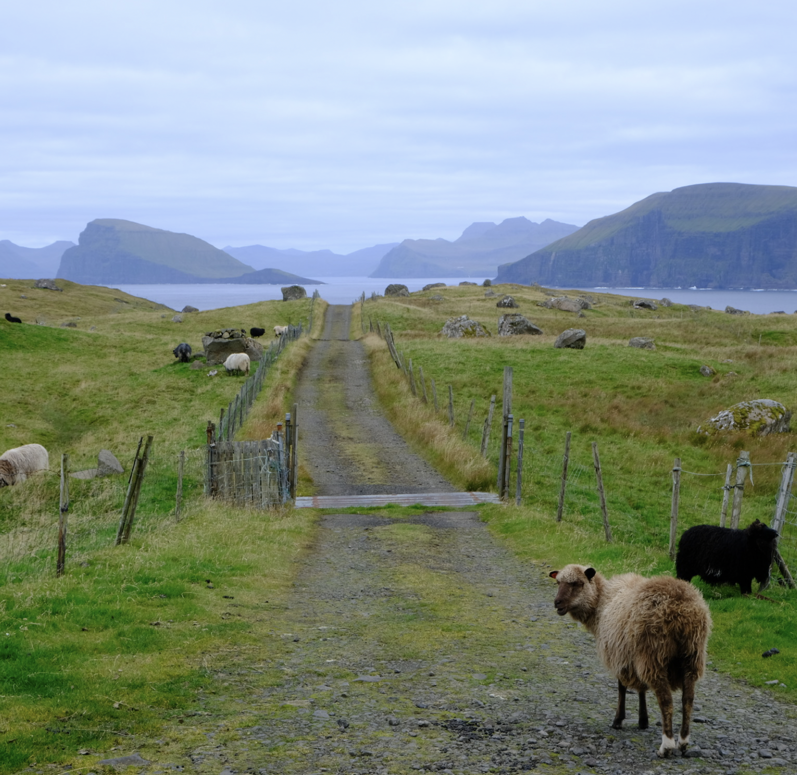 The Faroe Islands