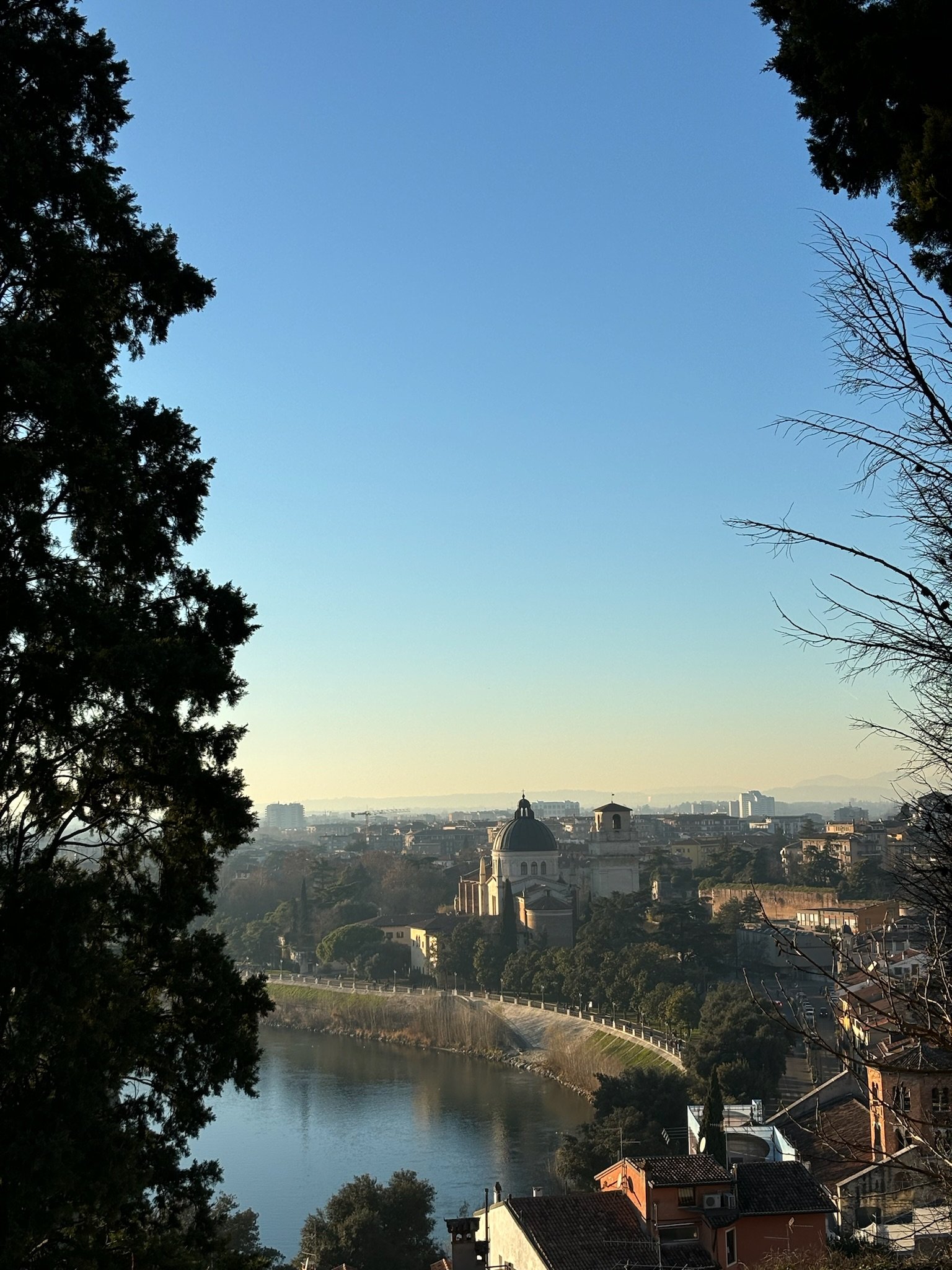 IMG_3270.jpeg