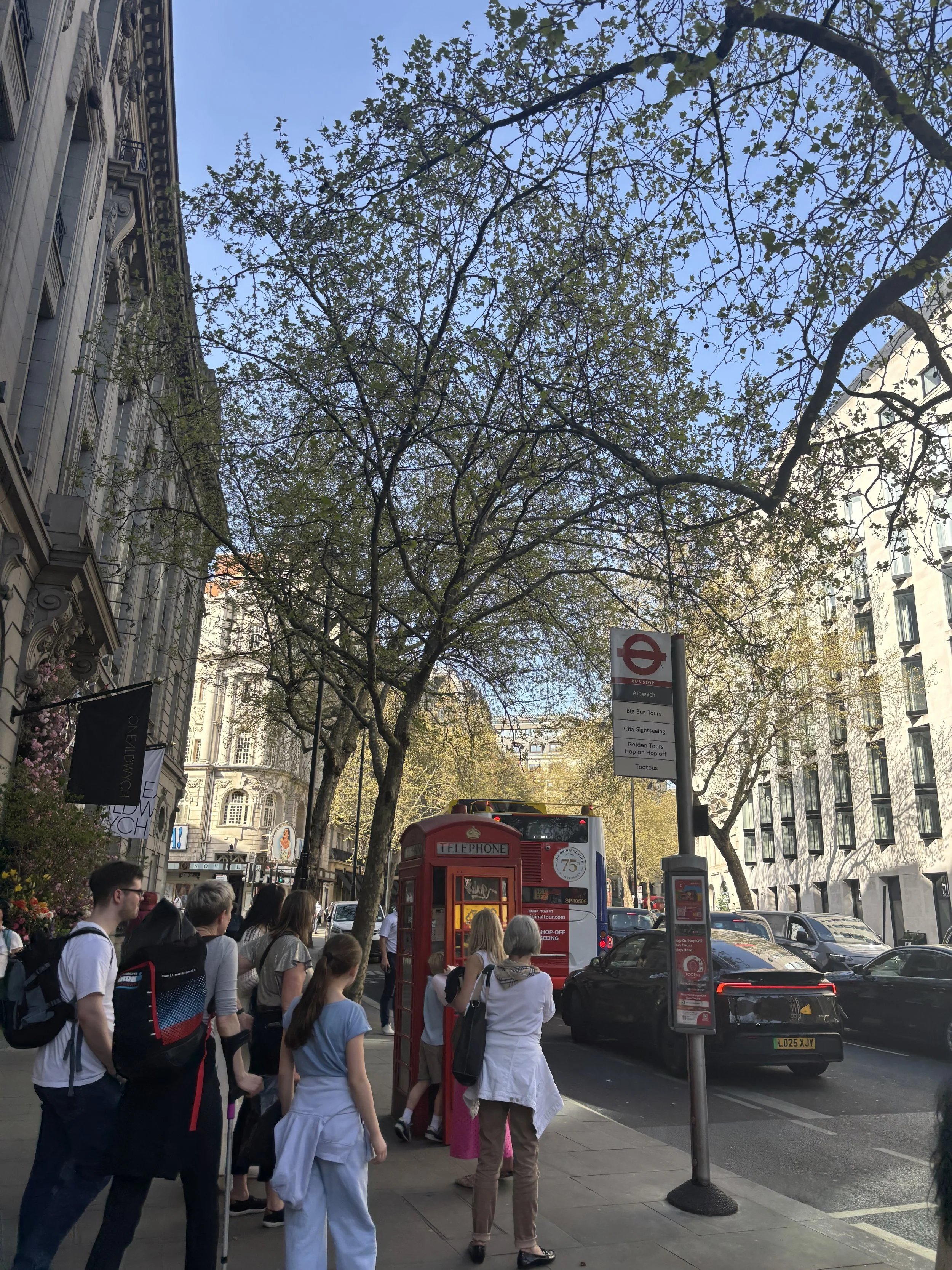 IMG_5318.jpeg