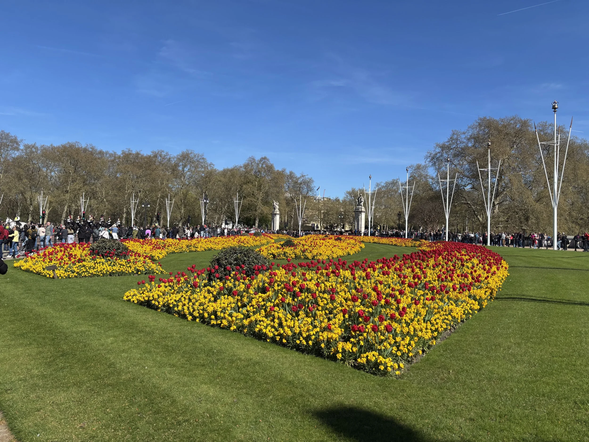 IMG_5202.jpeg