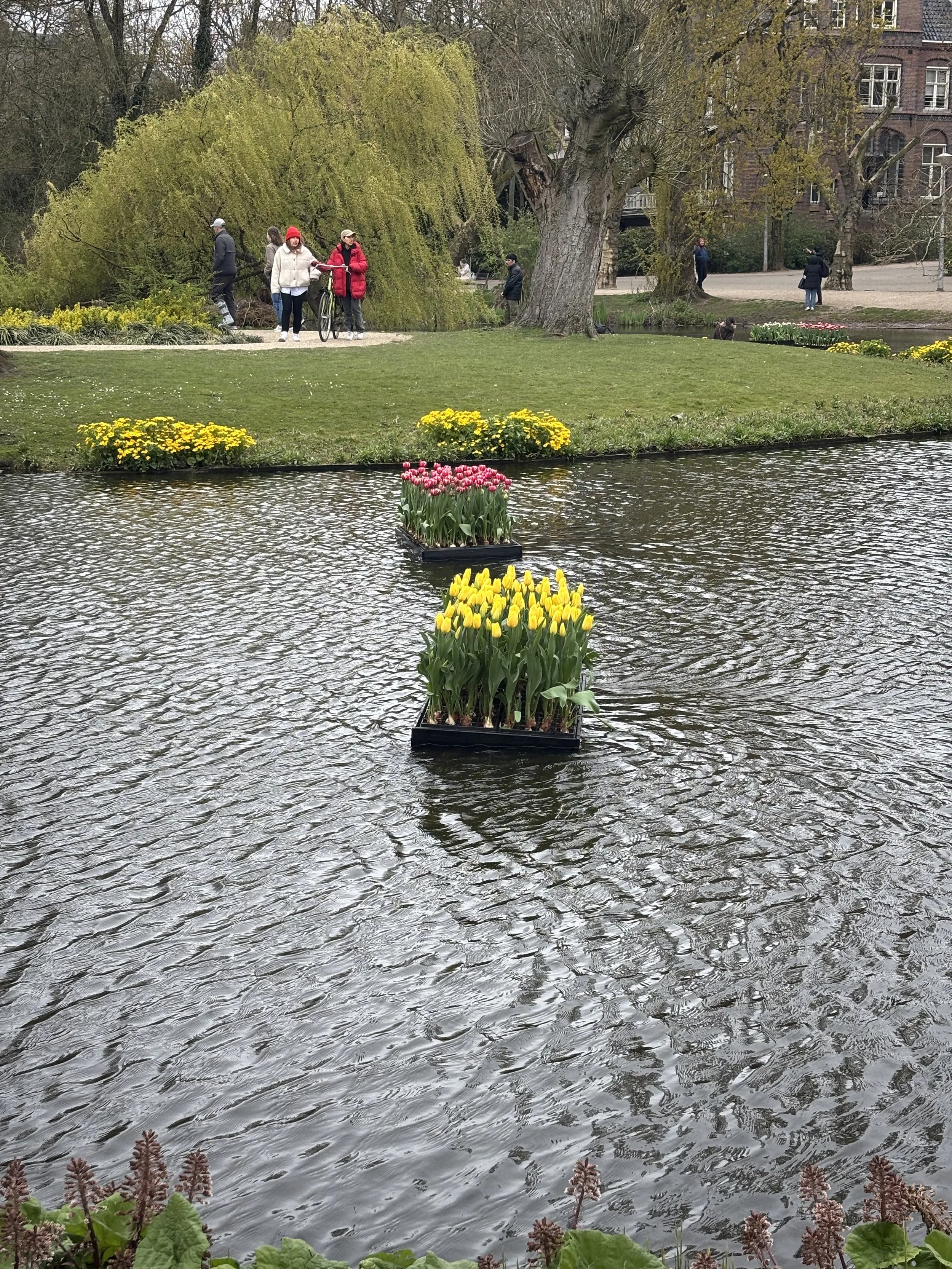IMG_4963.jpeg