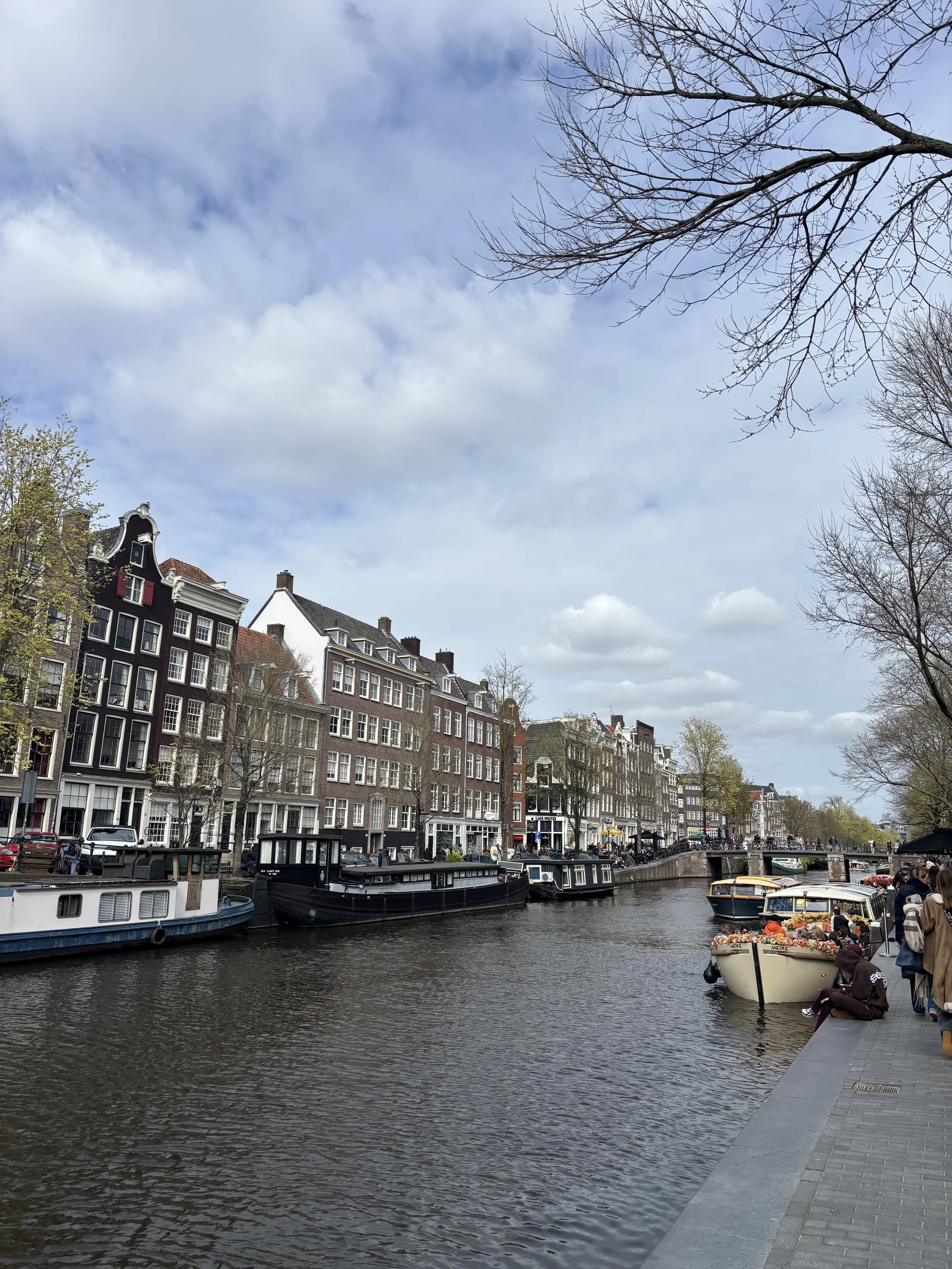 IMG_4782.jpeg