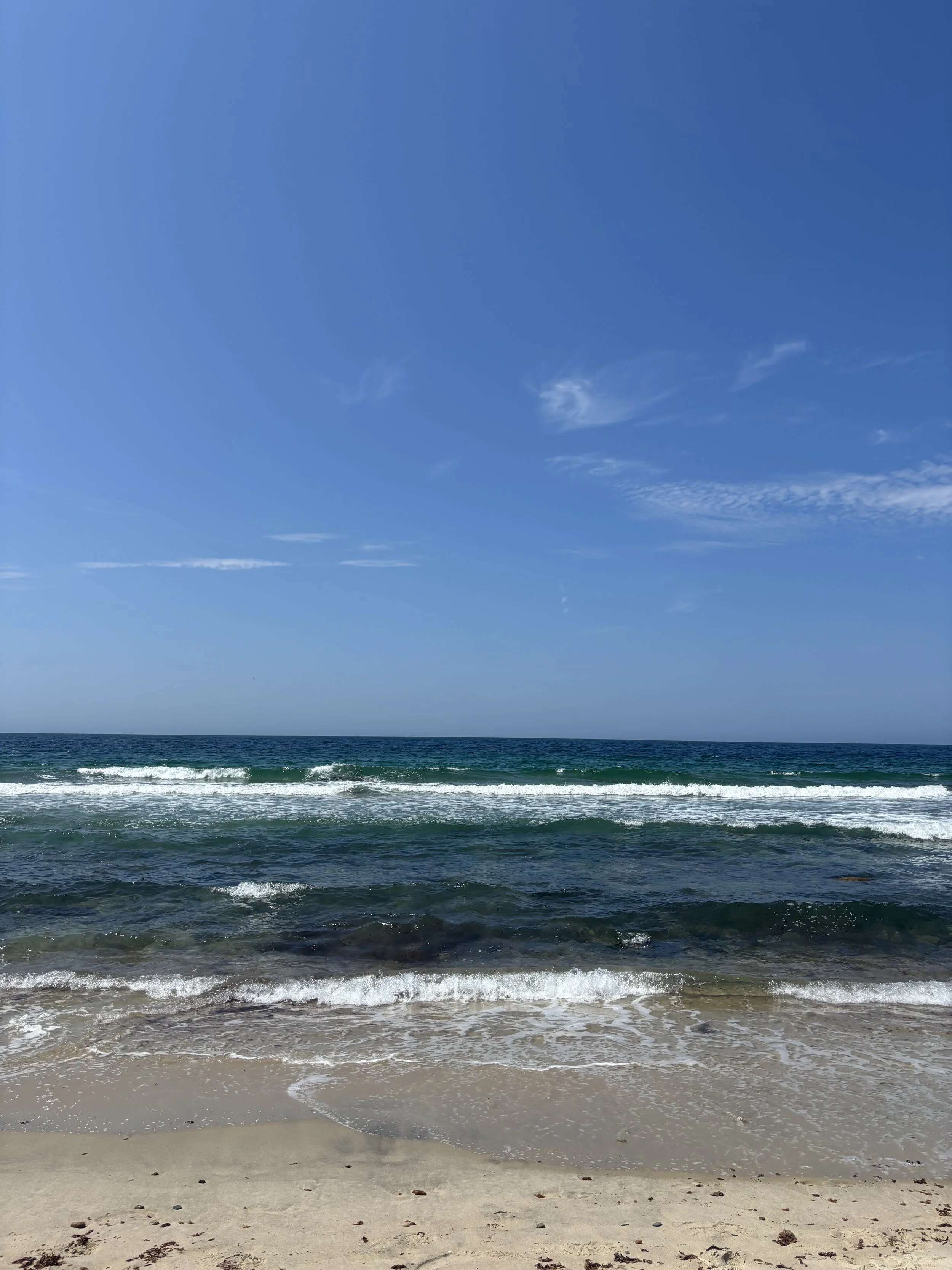 IMG_8925.jpeg