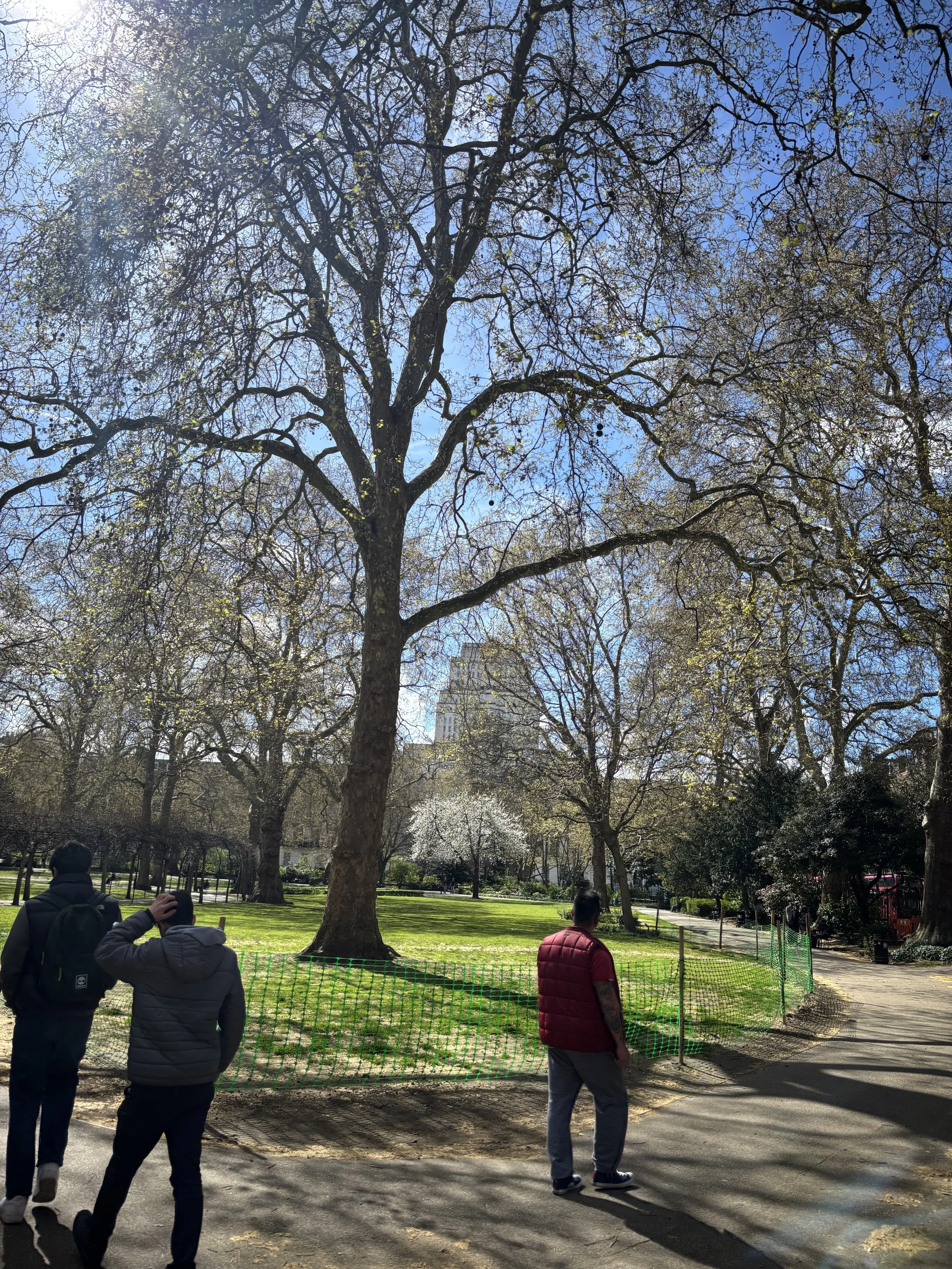 IMG_5121.jpeg