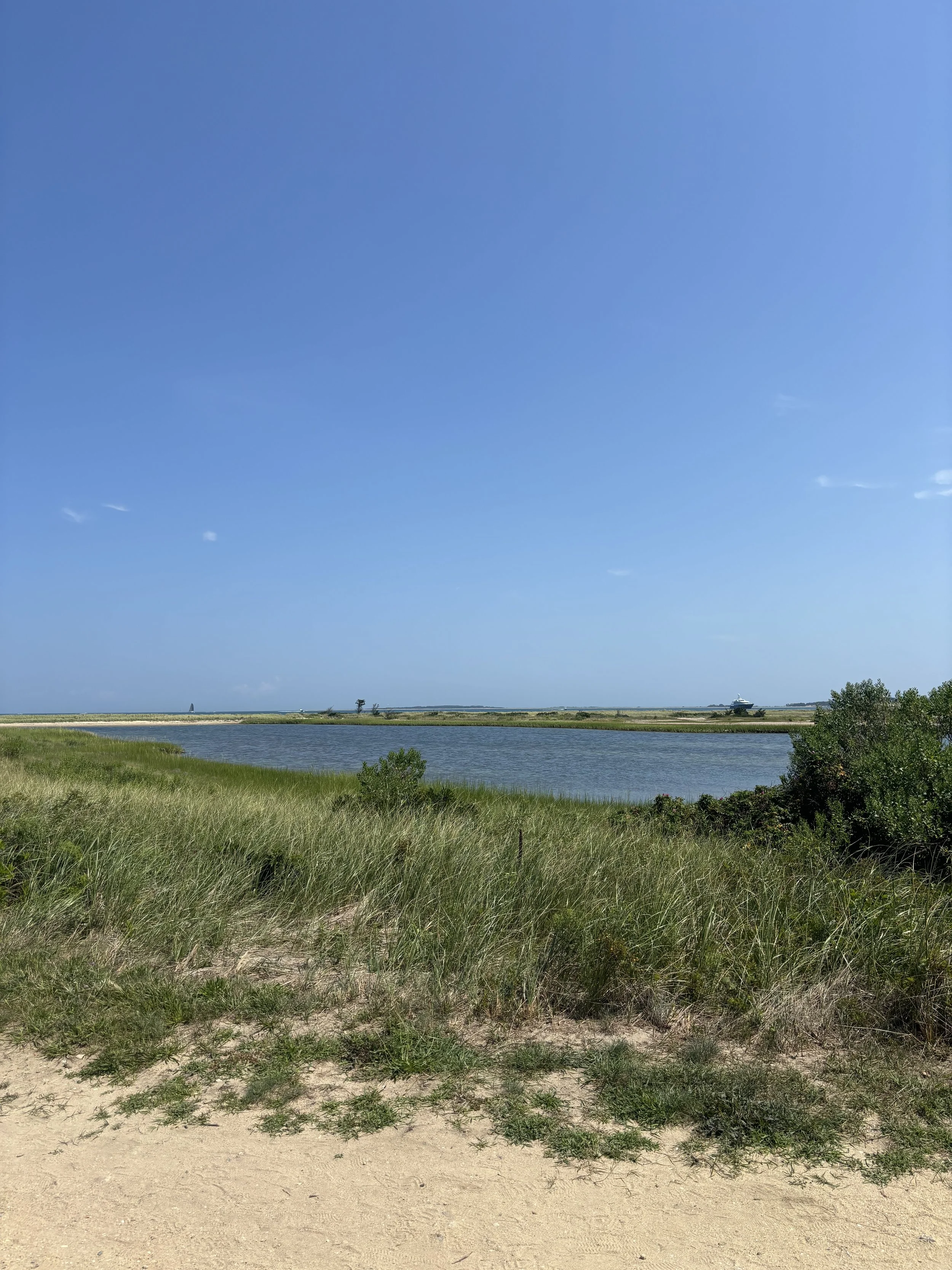 IMG_9024.jpeg