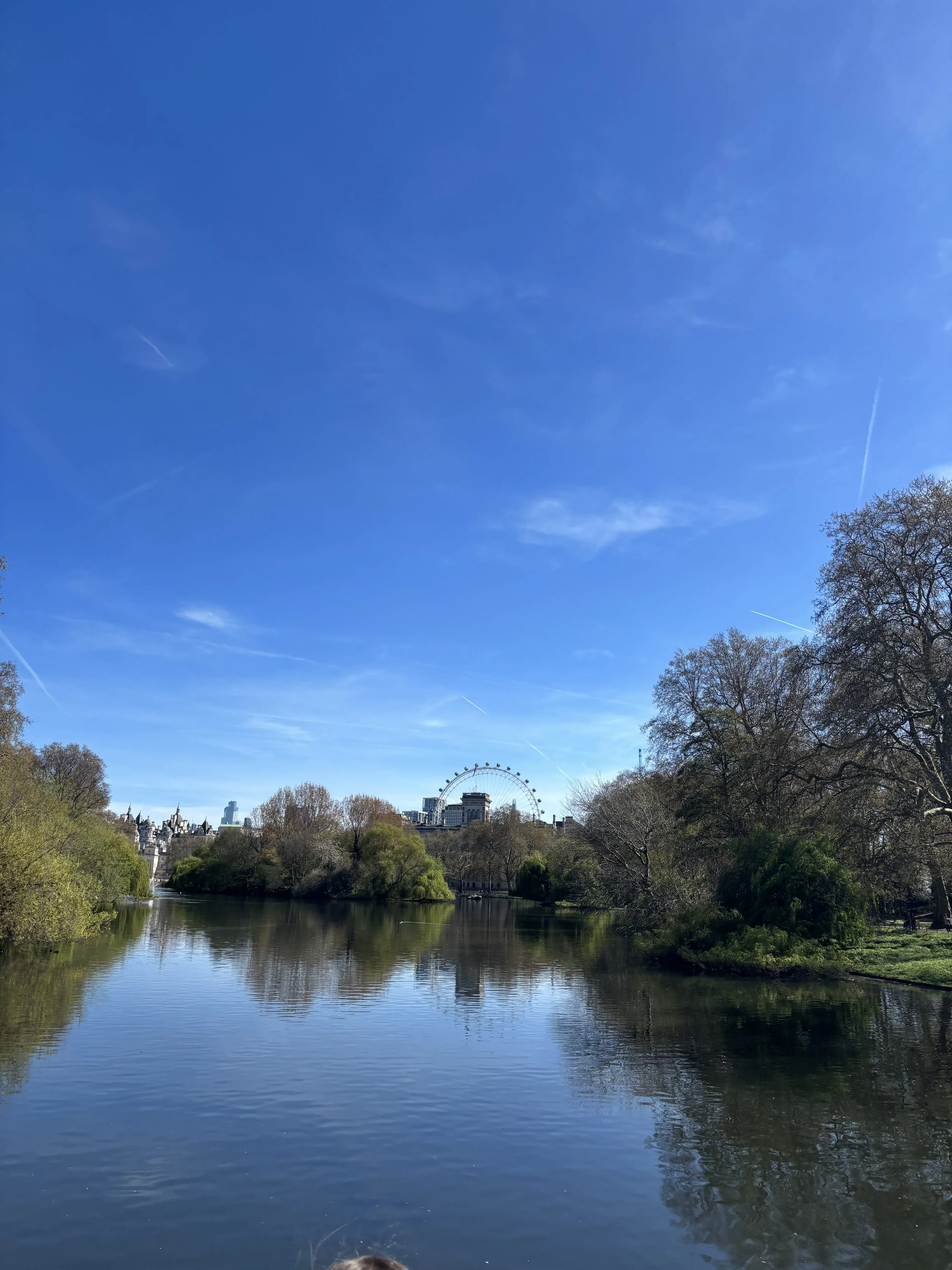 IMG_5200.jpeg