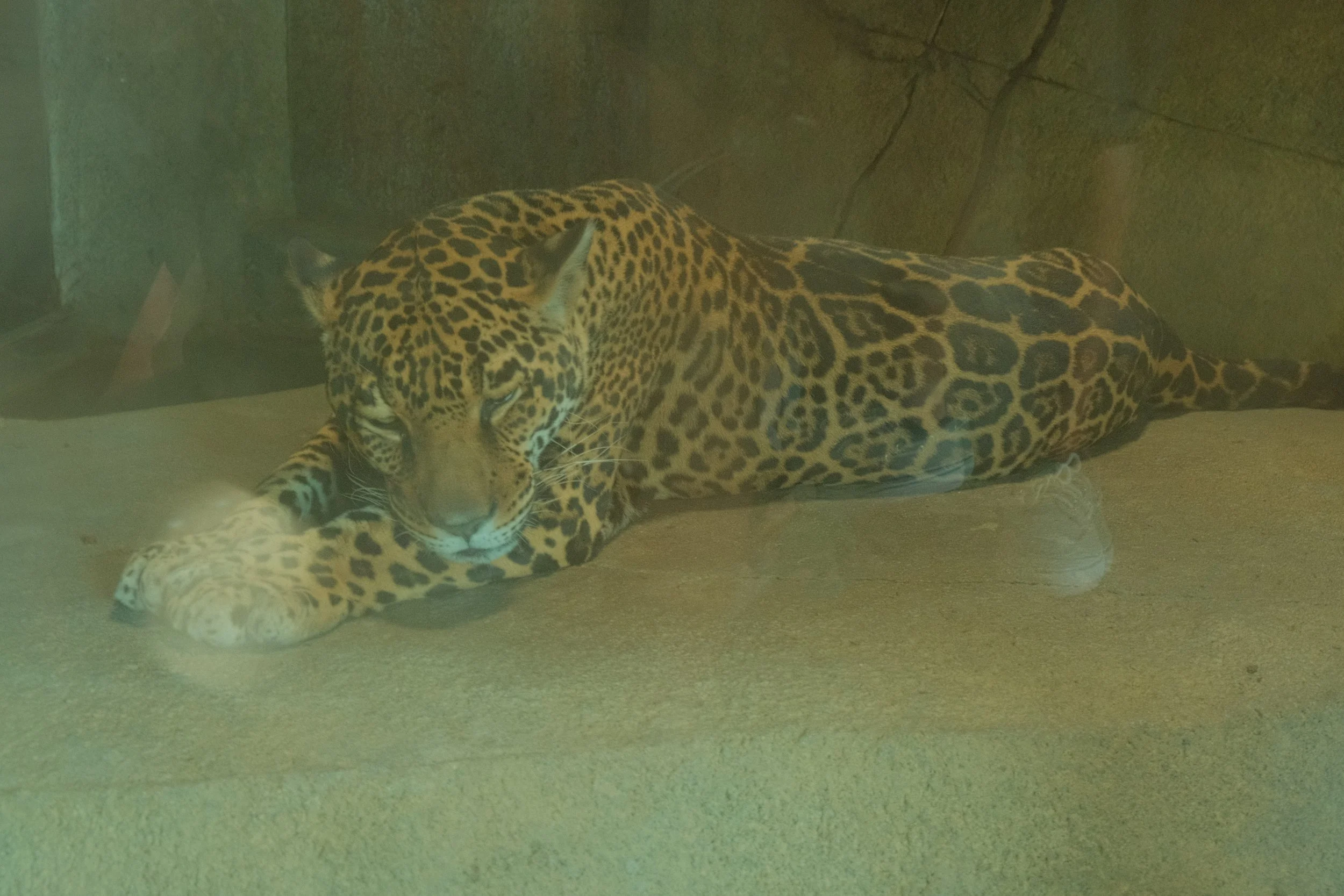 DSCF8535.JPG