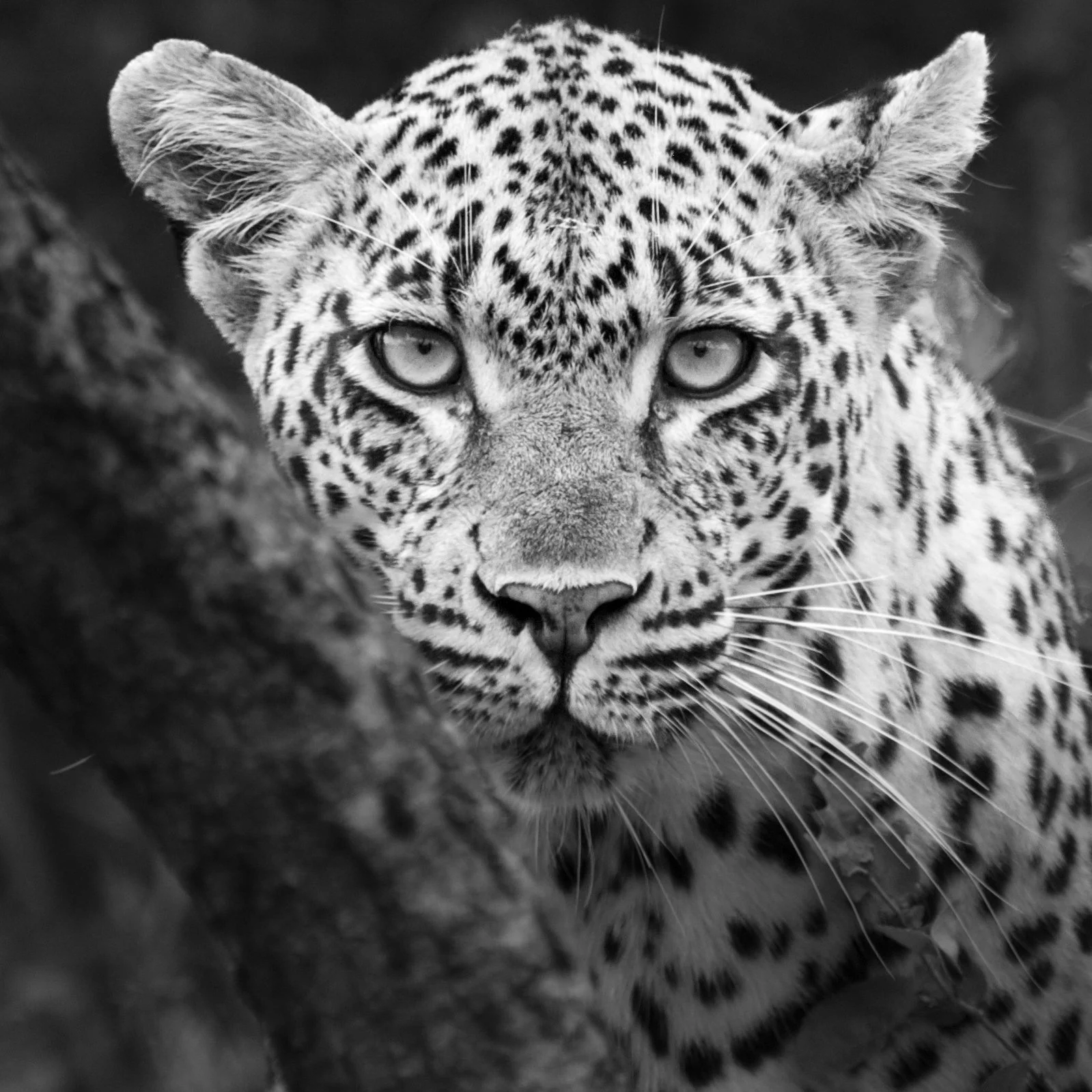 DSC_6975.jpg