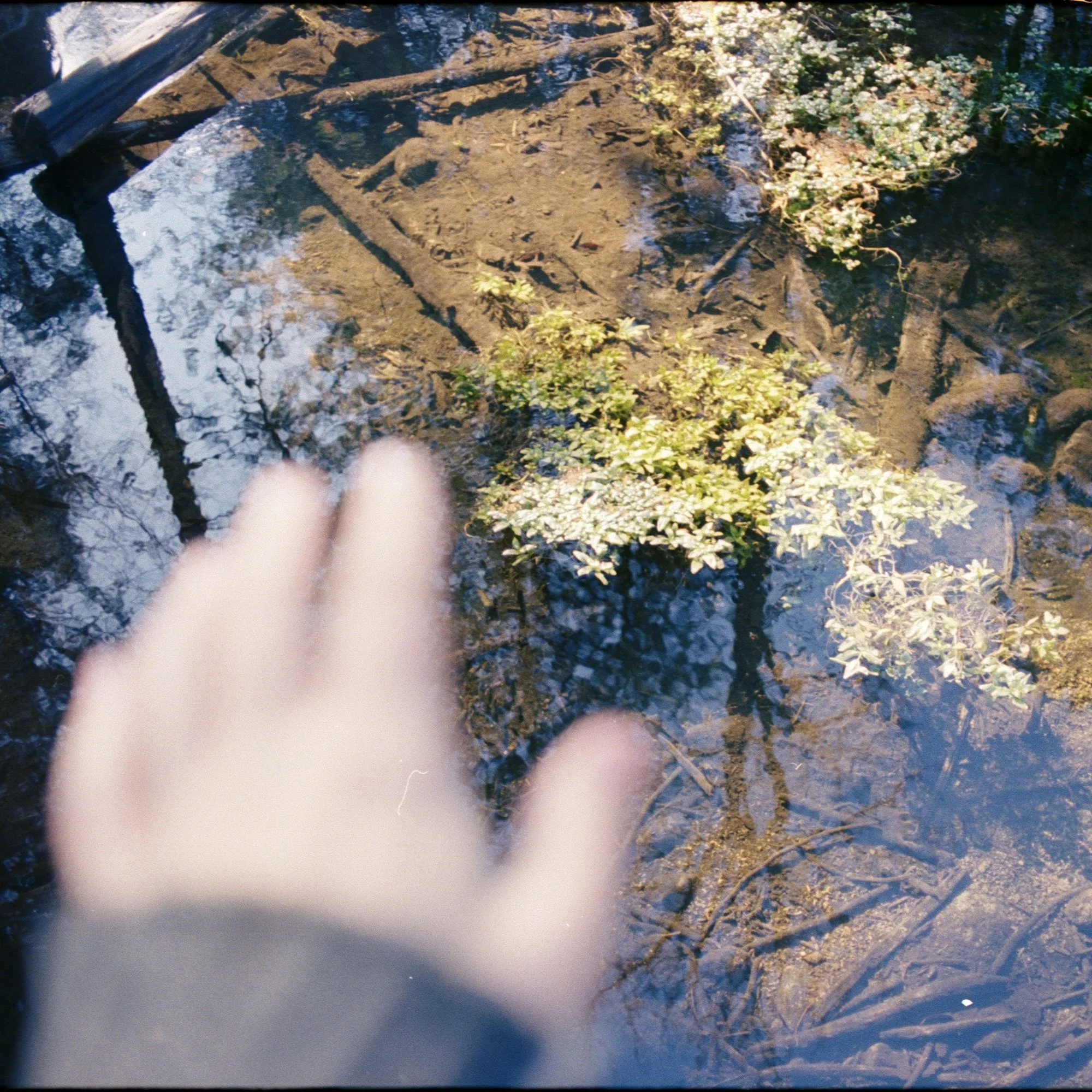 Alex film59 (6) (2).jpg