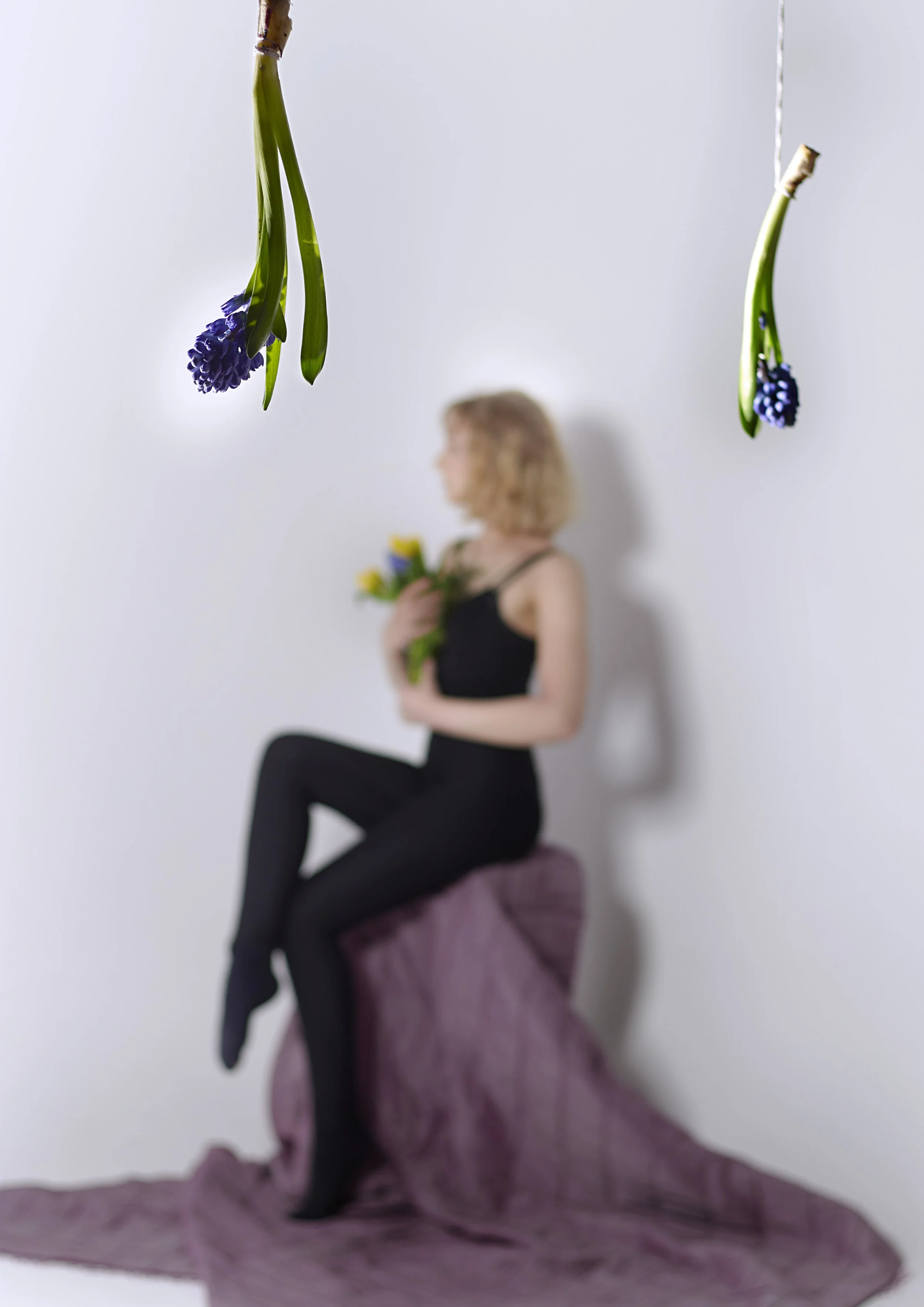 Caitlin Collins Photography