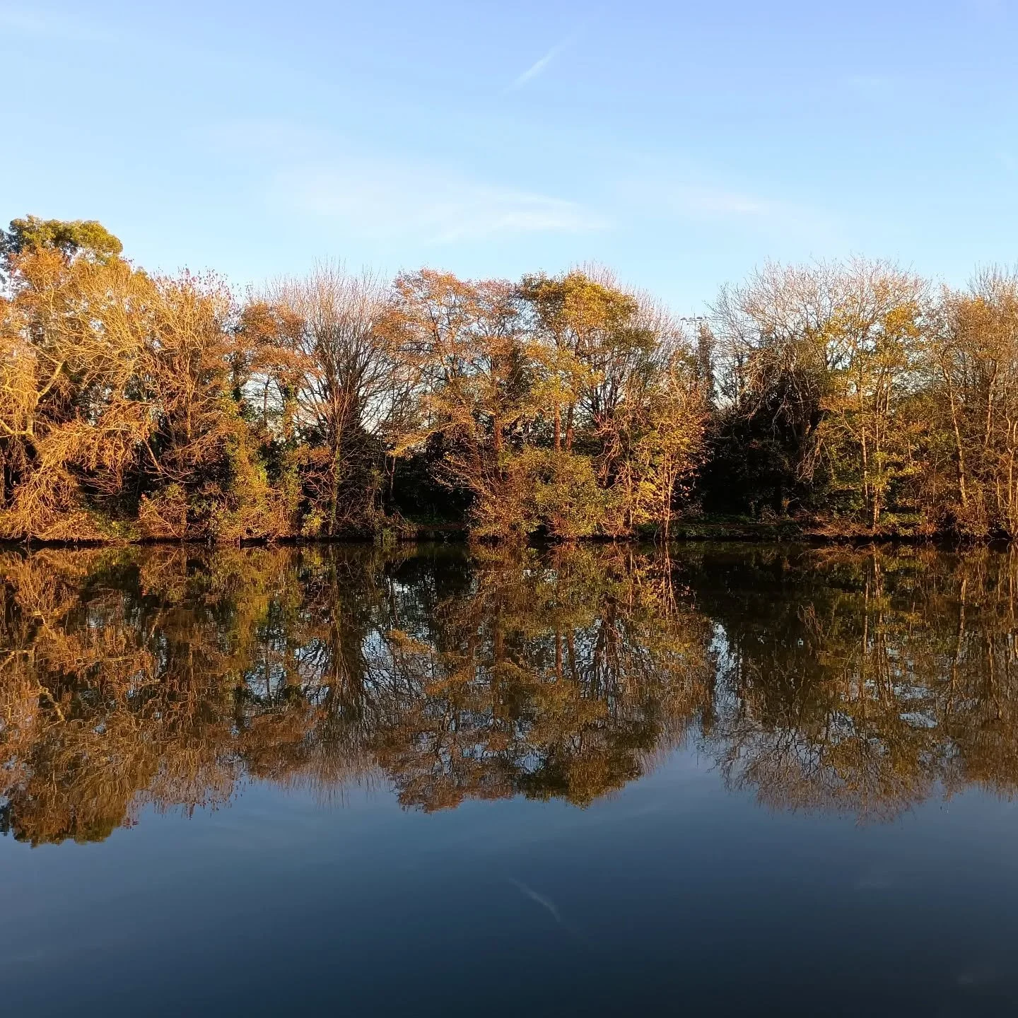 Really beautiful wintery afternoon light on a very placid Thames. 

#riverlife #islandlife #riverthames