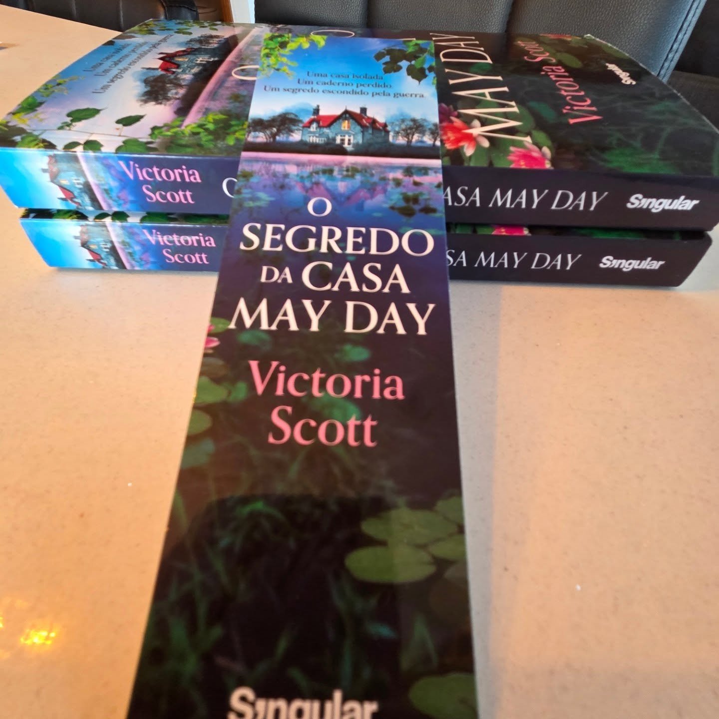 I now have a hard copy of the Portuguese translation of The House in the Water, and she's a beauty. Shiny, colourful, striking AND she comes with a free bookmark. What's not to love?

Translation by Jorge Lima for @singulareditora