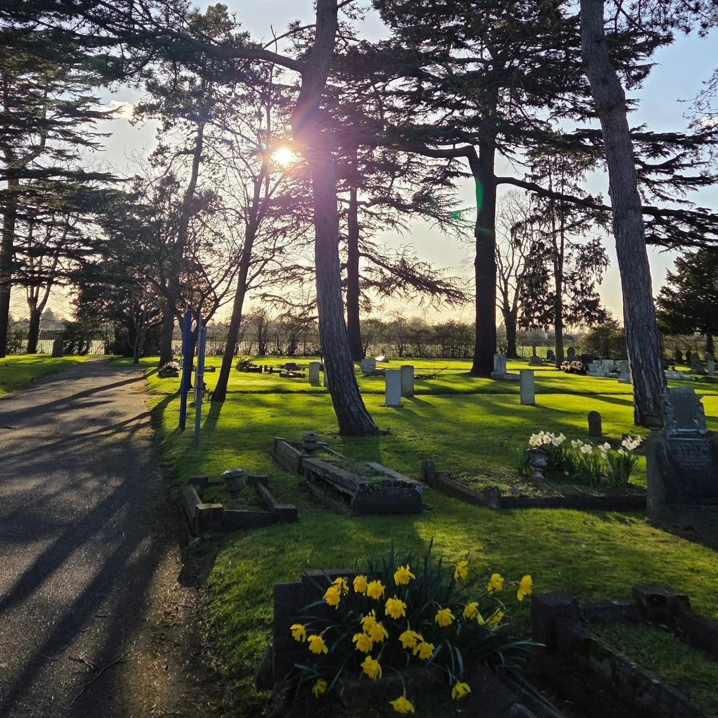 Really gorgeous light in the cemetery this afternoon. We often walk through here and it's such a beautiful place, and so well tended. 
No filter on this - this is as it was. 

#spring #walks