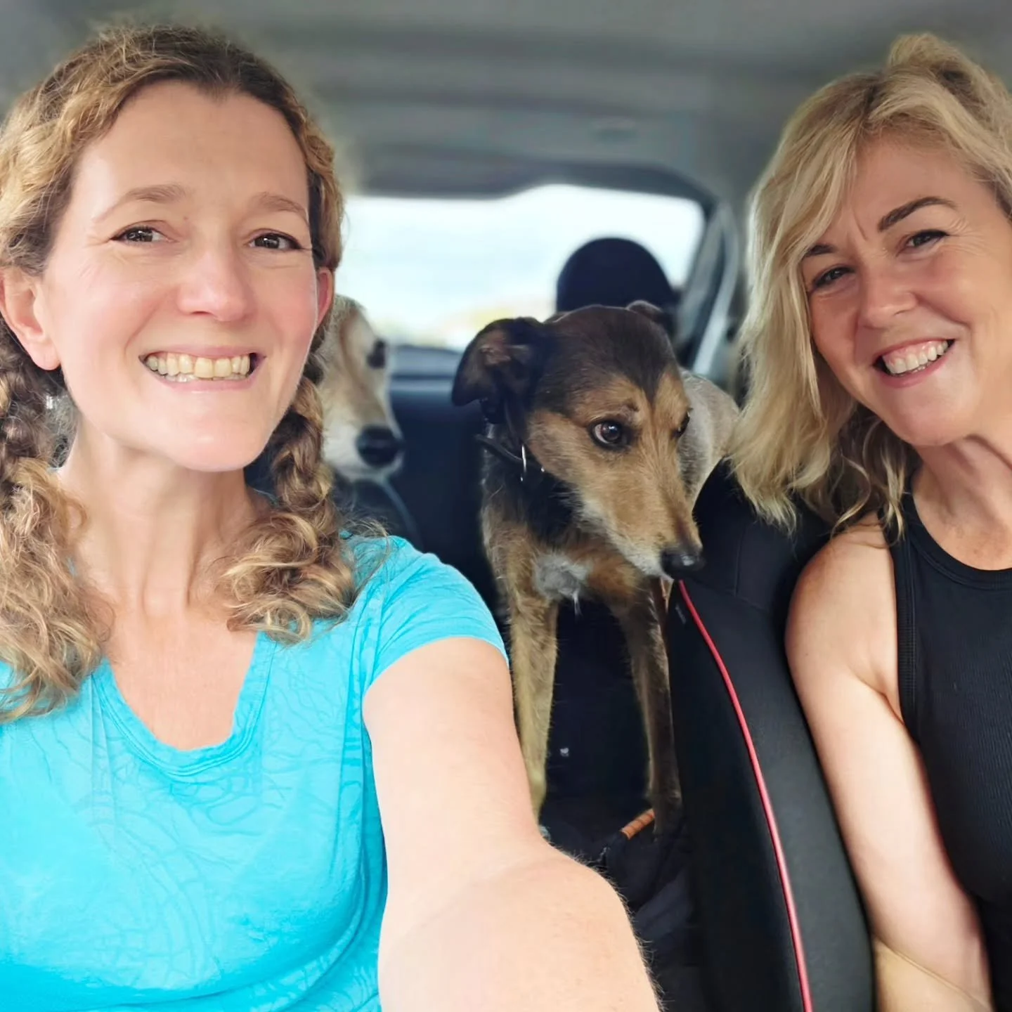 Just back from a lovely dog walk with my fabulous author friend Kate Thompson. Lots of great chats about book ideas and the publishing industry in general, and I also got to cuddle her dogs, which is always a bonus. 
Kate was actually the person who 