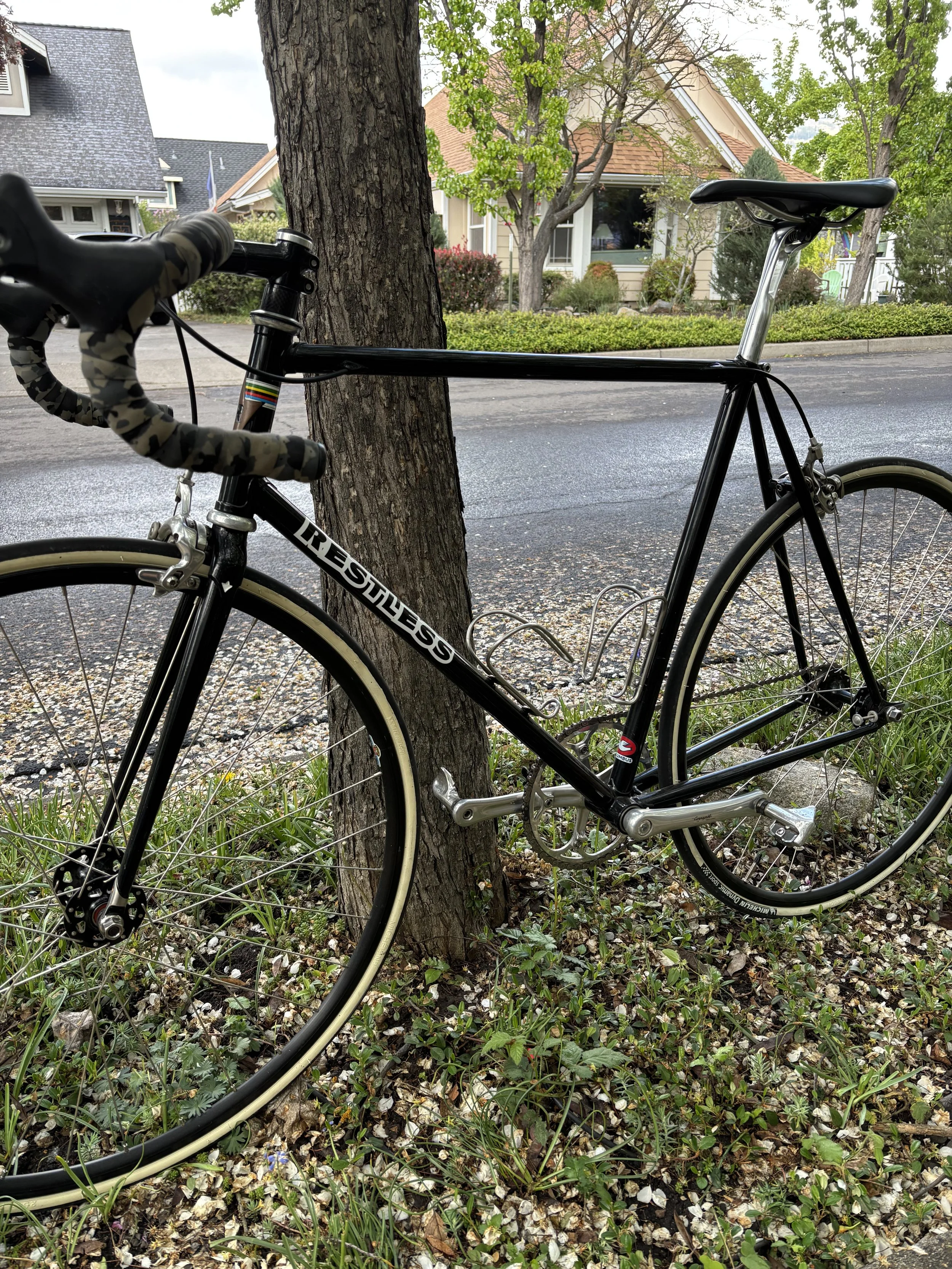 Lugged single speed road