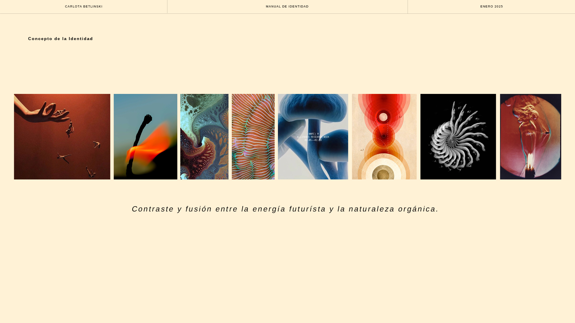 brand manual8.png
