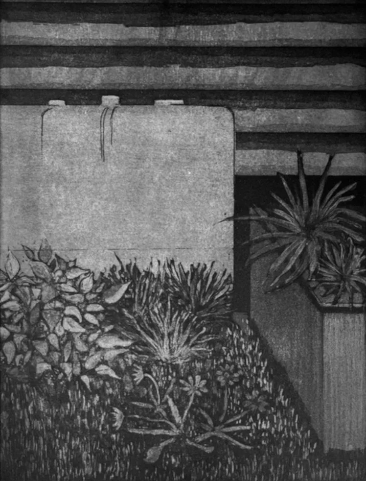 Growth (2023), 28cm x 36cm, Etching and Aquatint