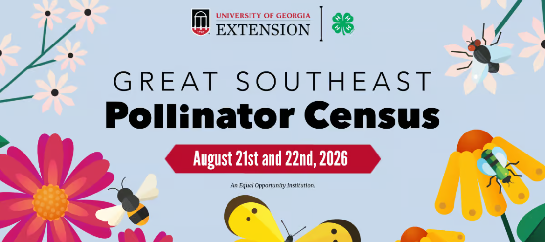 Pollinator Census Pop-In