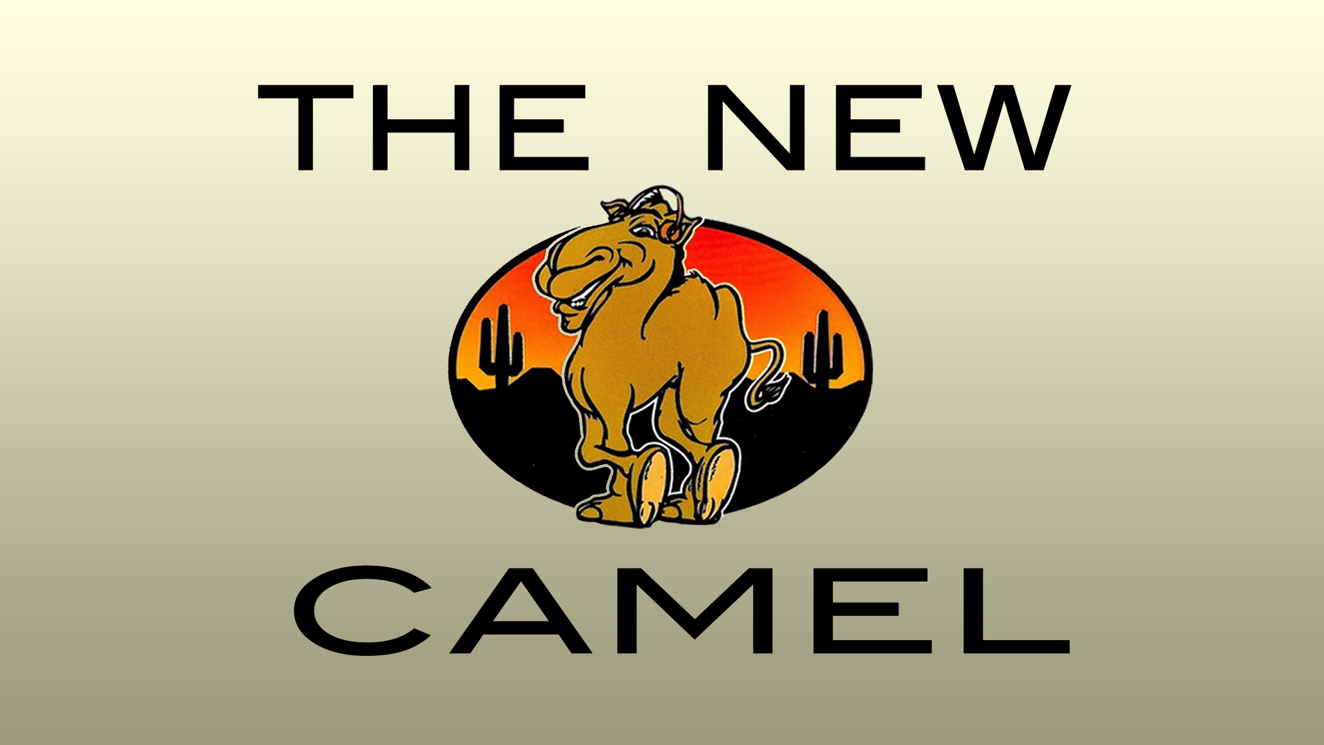 THE NEW CAMEL