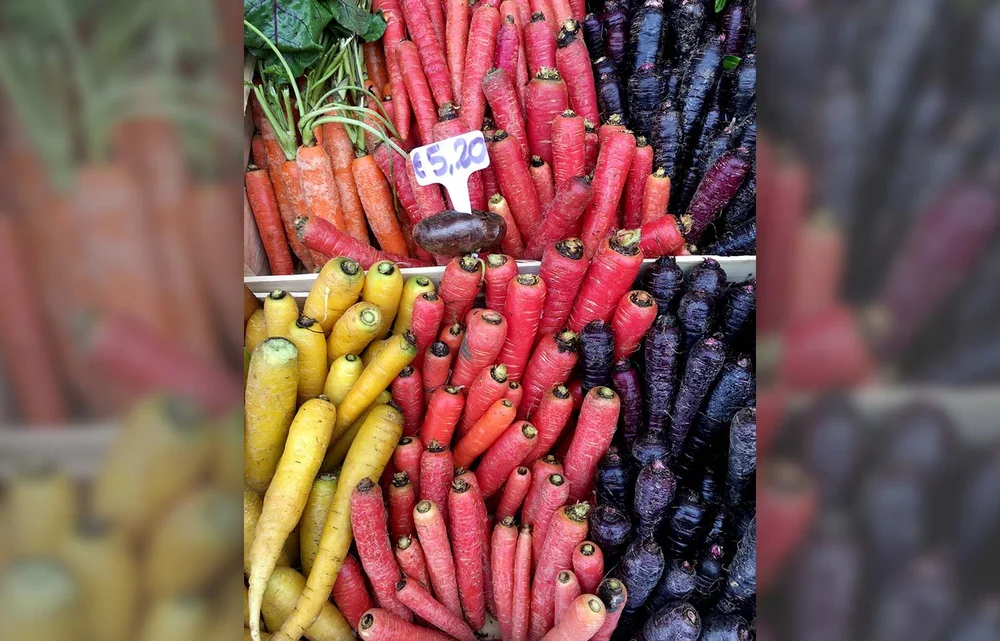 arbenpracht und Sortenvielfalt – Möhren.