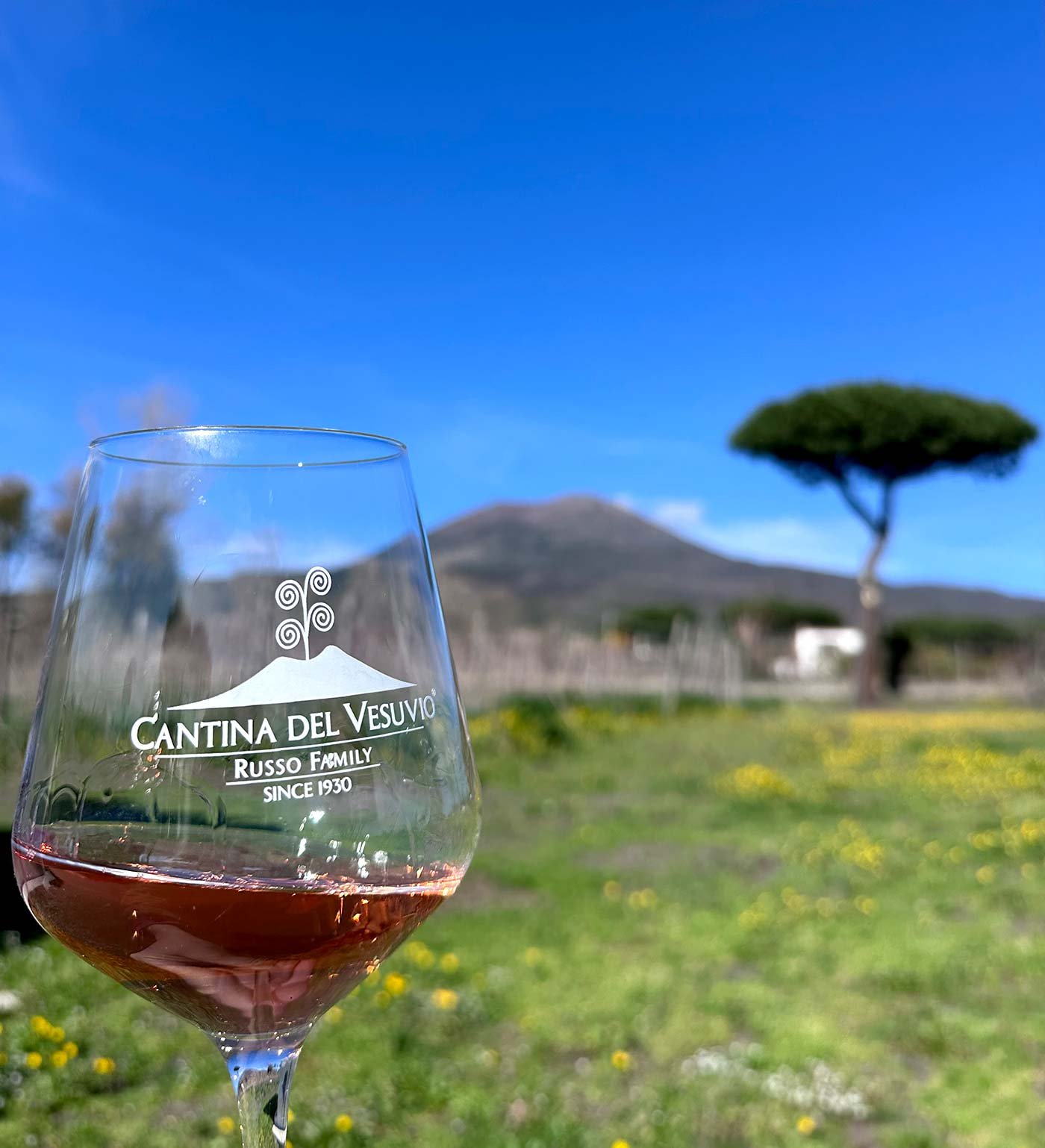 Vesuv-Wein aus Kampanien