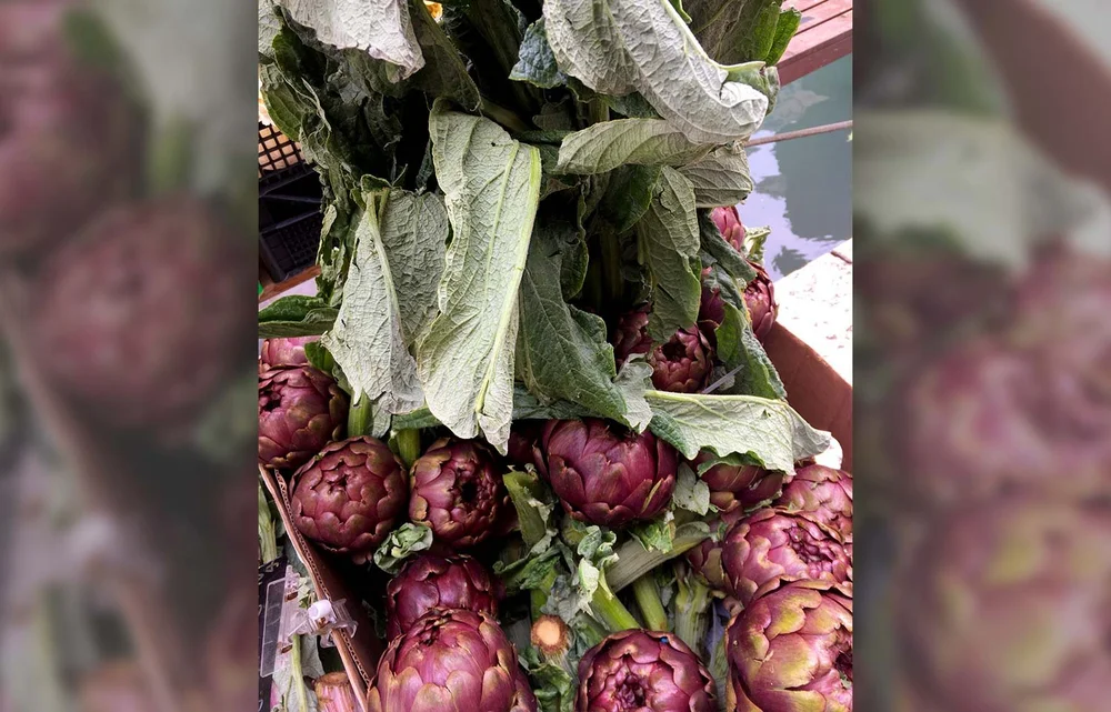Artischocken dürfen nicht fehlen.