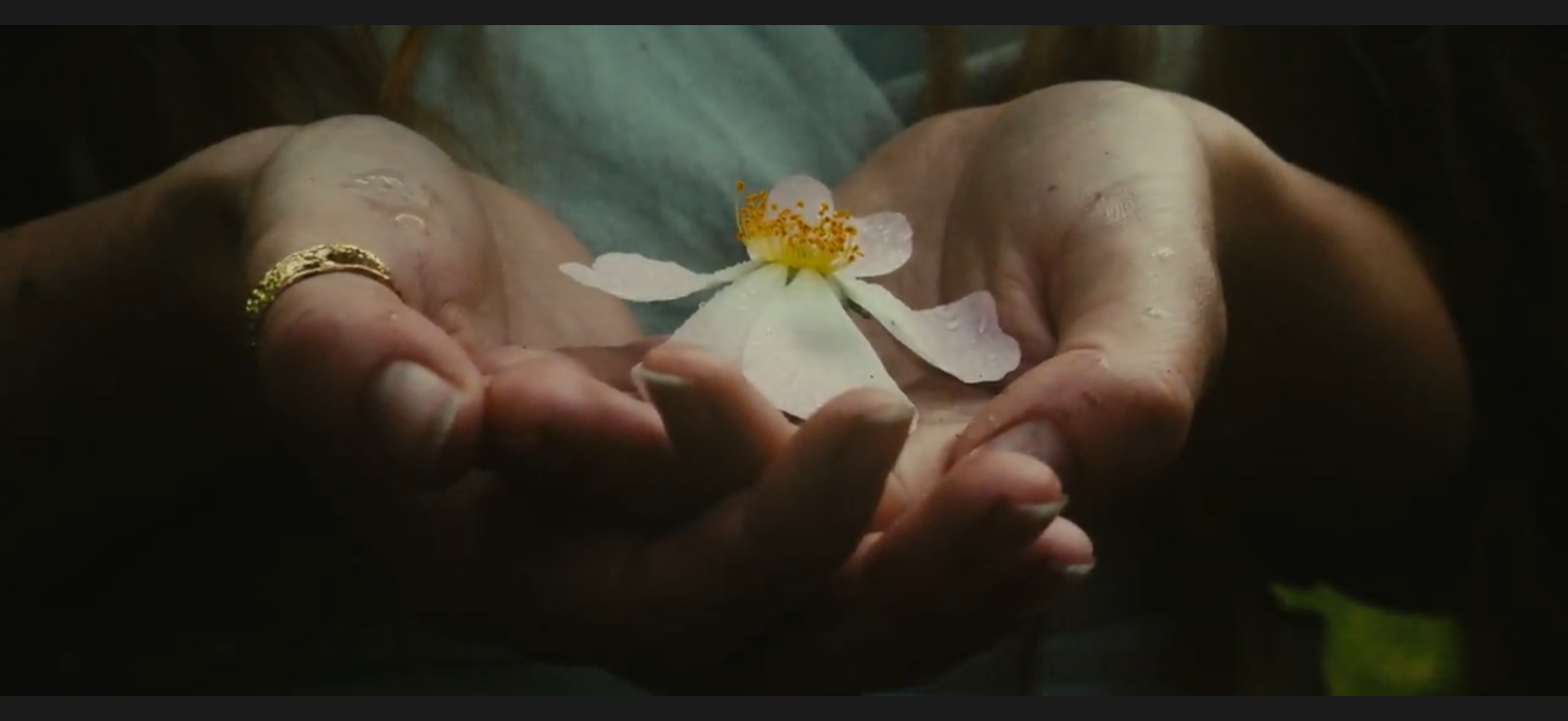 Voice of the Rose ~ Seed Awakening launch