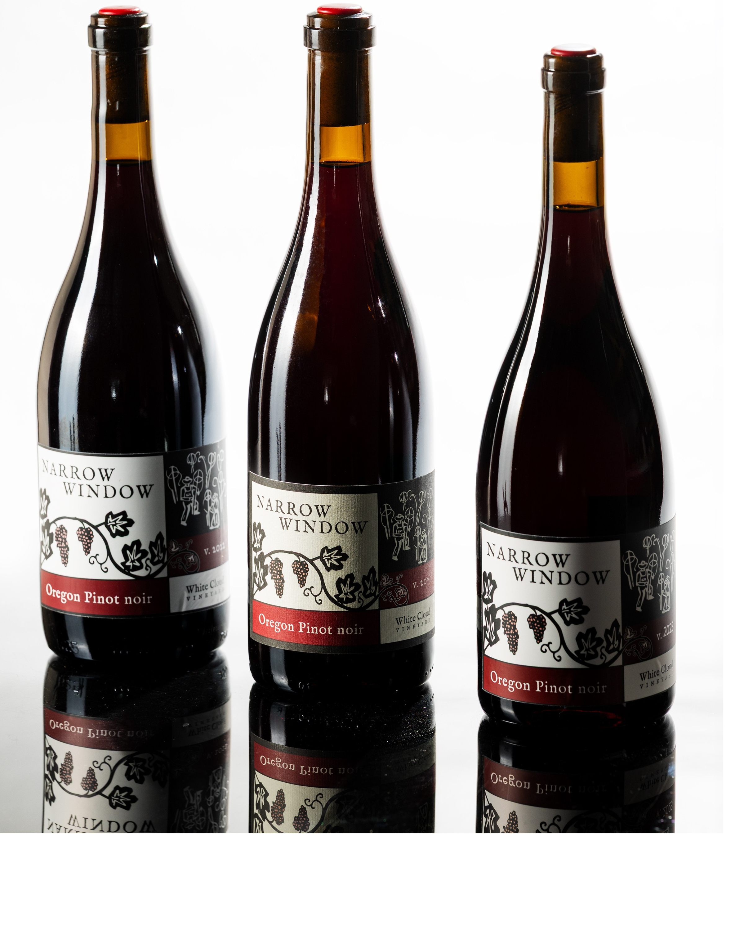 2021-2023 Vertical Collection of Pinot noirs