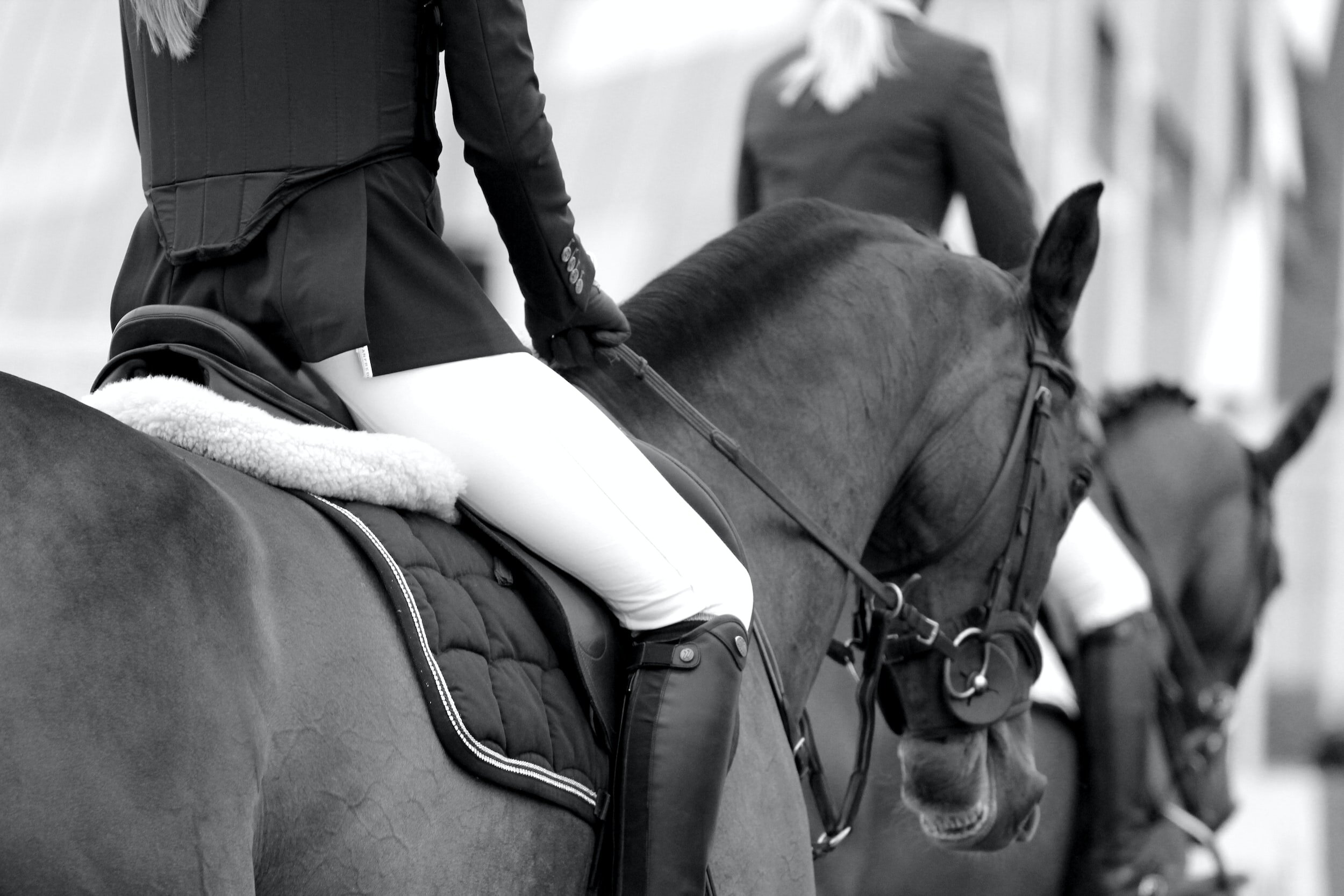 Maarsbergen Horse Trials