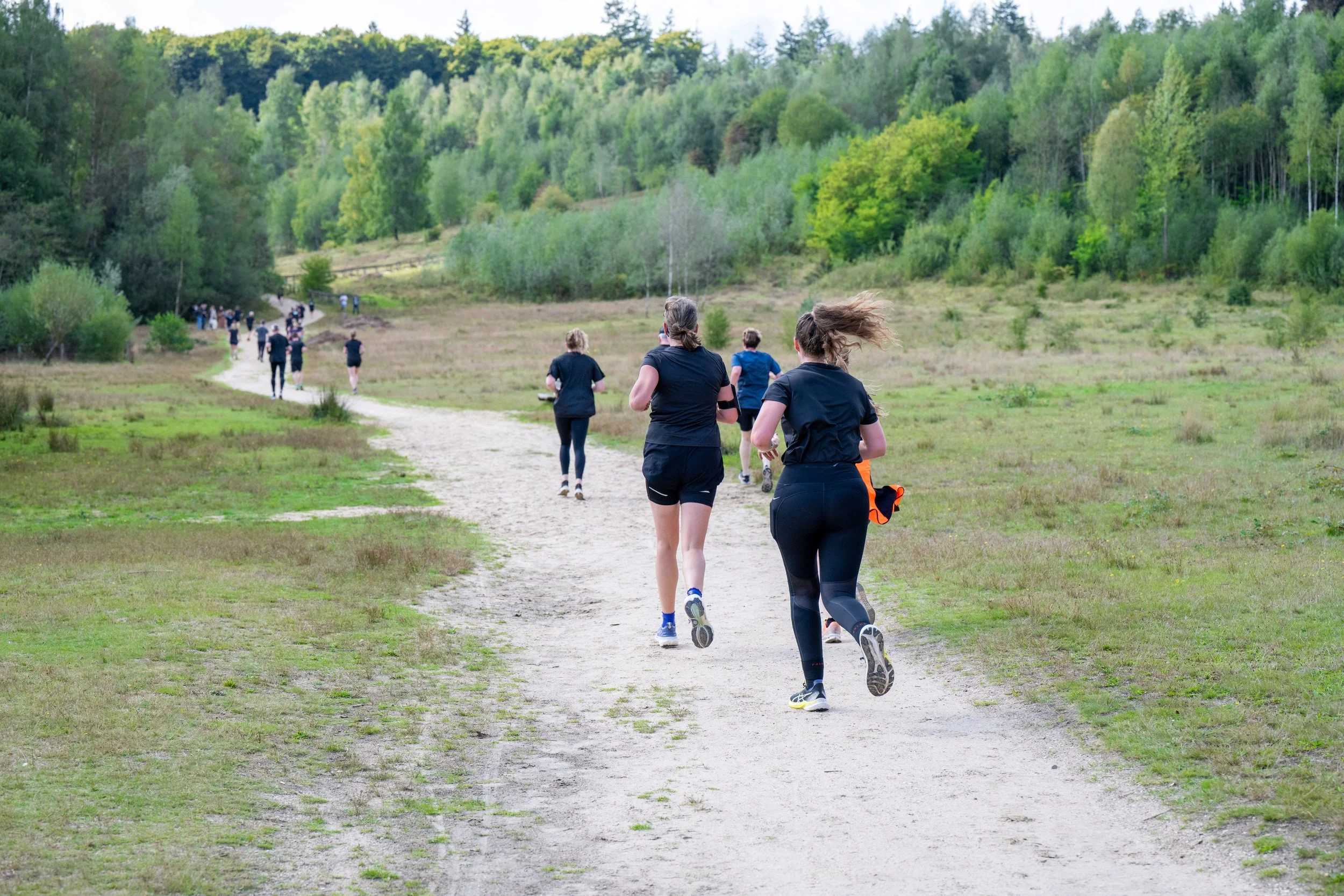 Kwintelooyen Run: populair en een beetje kneuterig