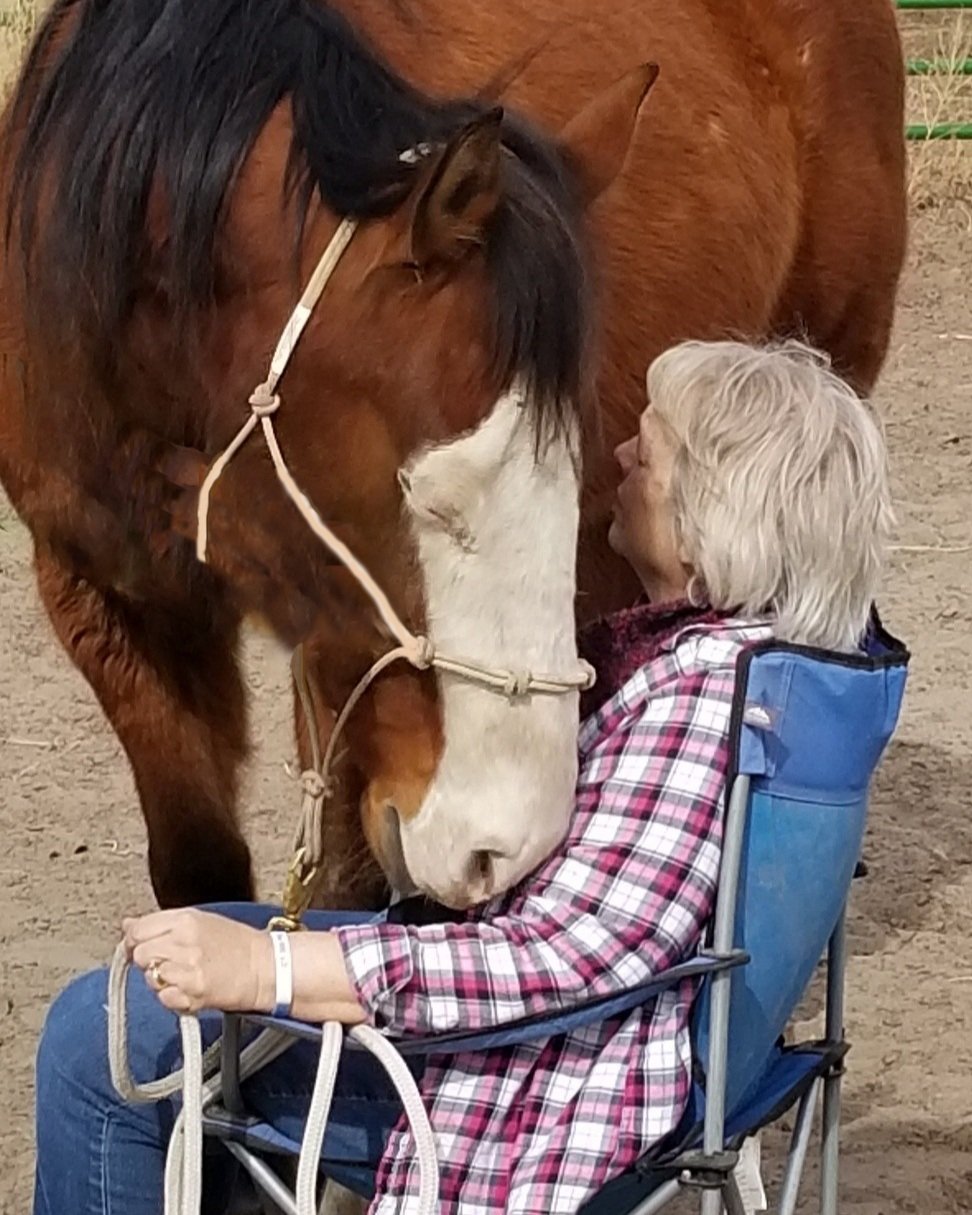 Equine Assisted Healing