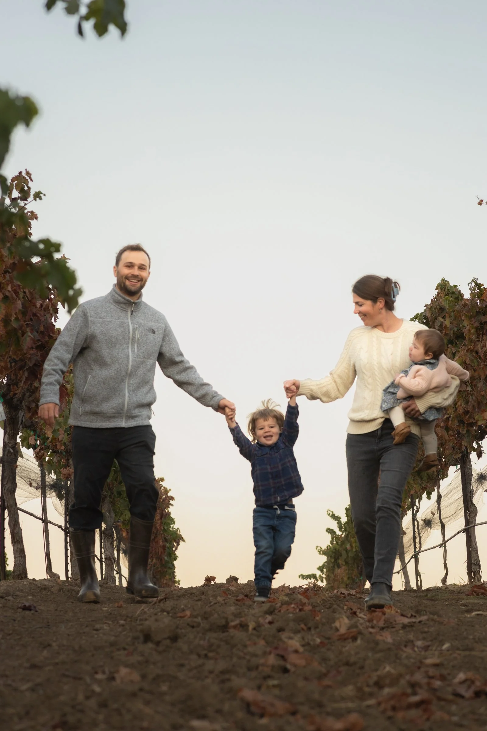 famnvineyard.jpg