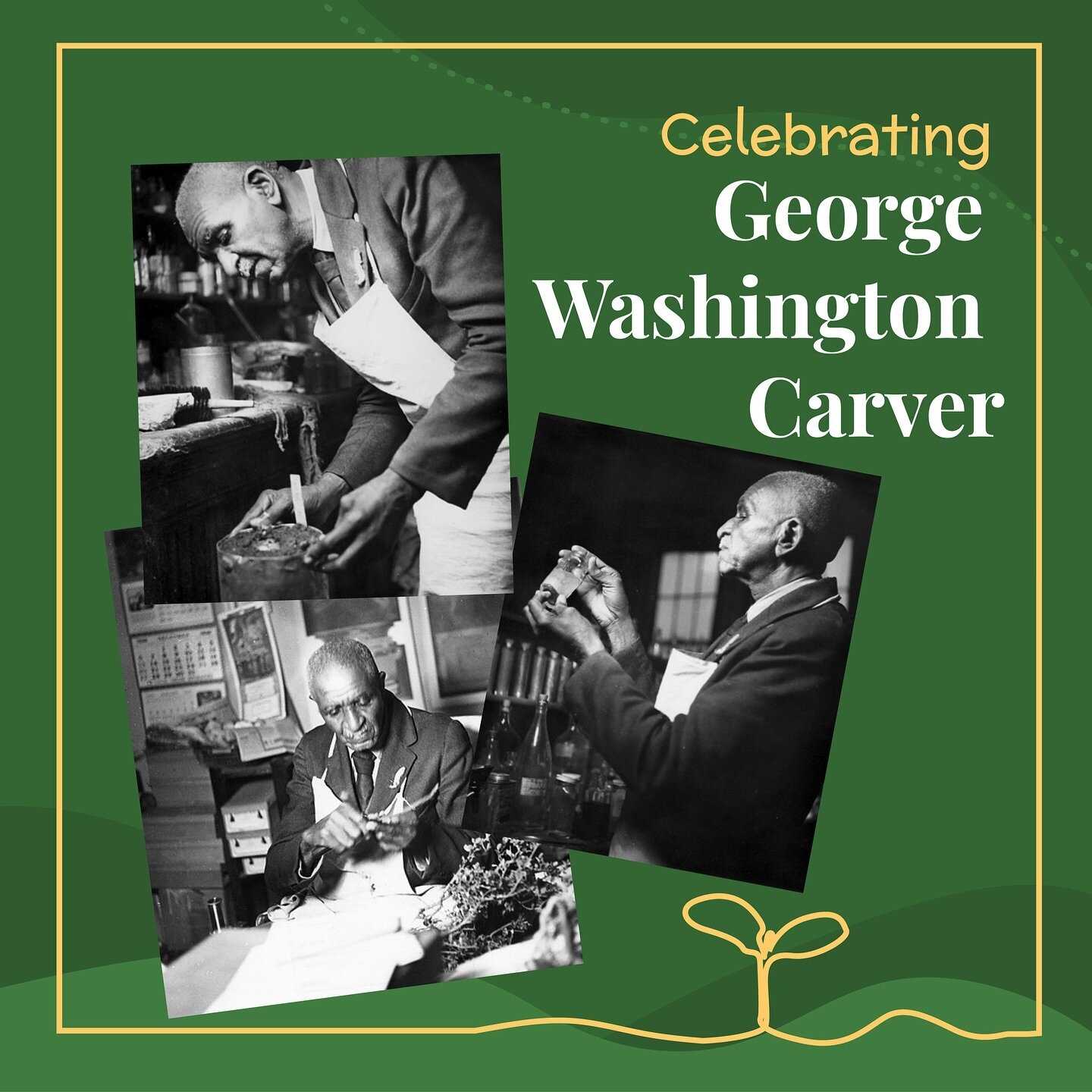 This Black History Month, we at Boston Youth Farm Project are proud to celebrate George Washington Carver. 

As a young boy, upon the abolishment of slavery, George earned the nickname &ldquo;the plant doctor&rdquo; for his green thumb and ability to