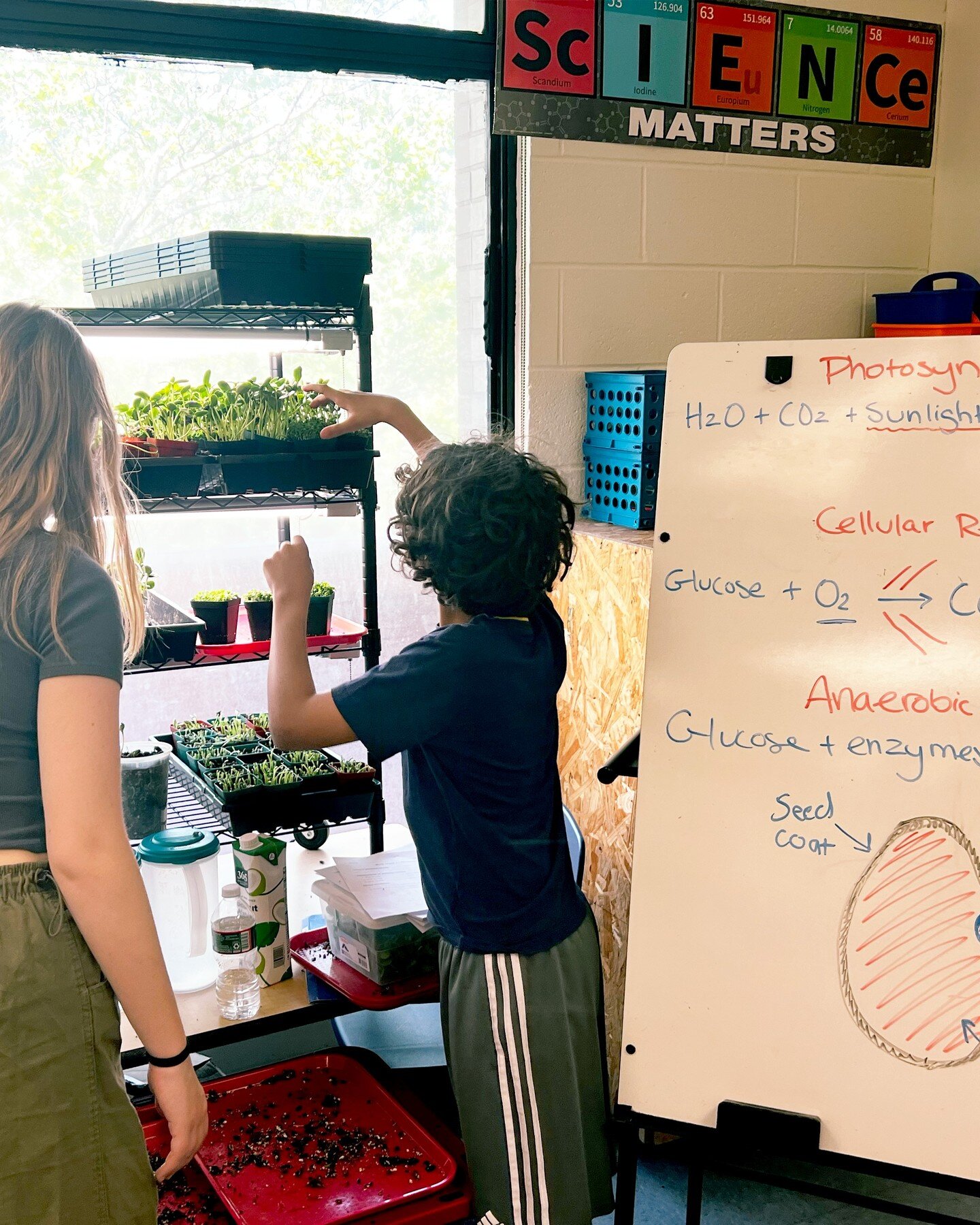 Sure, we can draw diagrams of photosynthesis, cellular respiration, anaerobic this, seed that&hellip;wouldn&rsquo;t your students rather see it in action? Combining STEM in the classroom with hands-on-learning is what we&rsquo;re all about. We&rsquo;