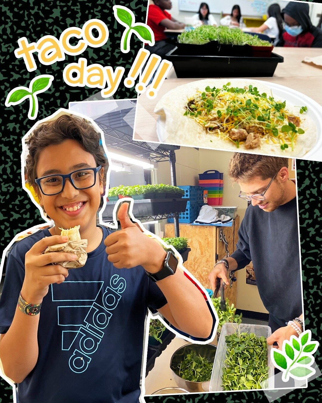 Did you know our 3 week curriculum ends with a taco party for your class? We can&rsquo;t lie, it&rsquo;s one of the highlights of the lesson plan. Nothing beats lunch made with the very microgreens grown right in your classroom! 

#bostonyouthfarmpro